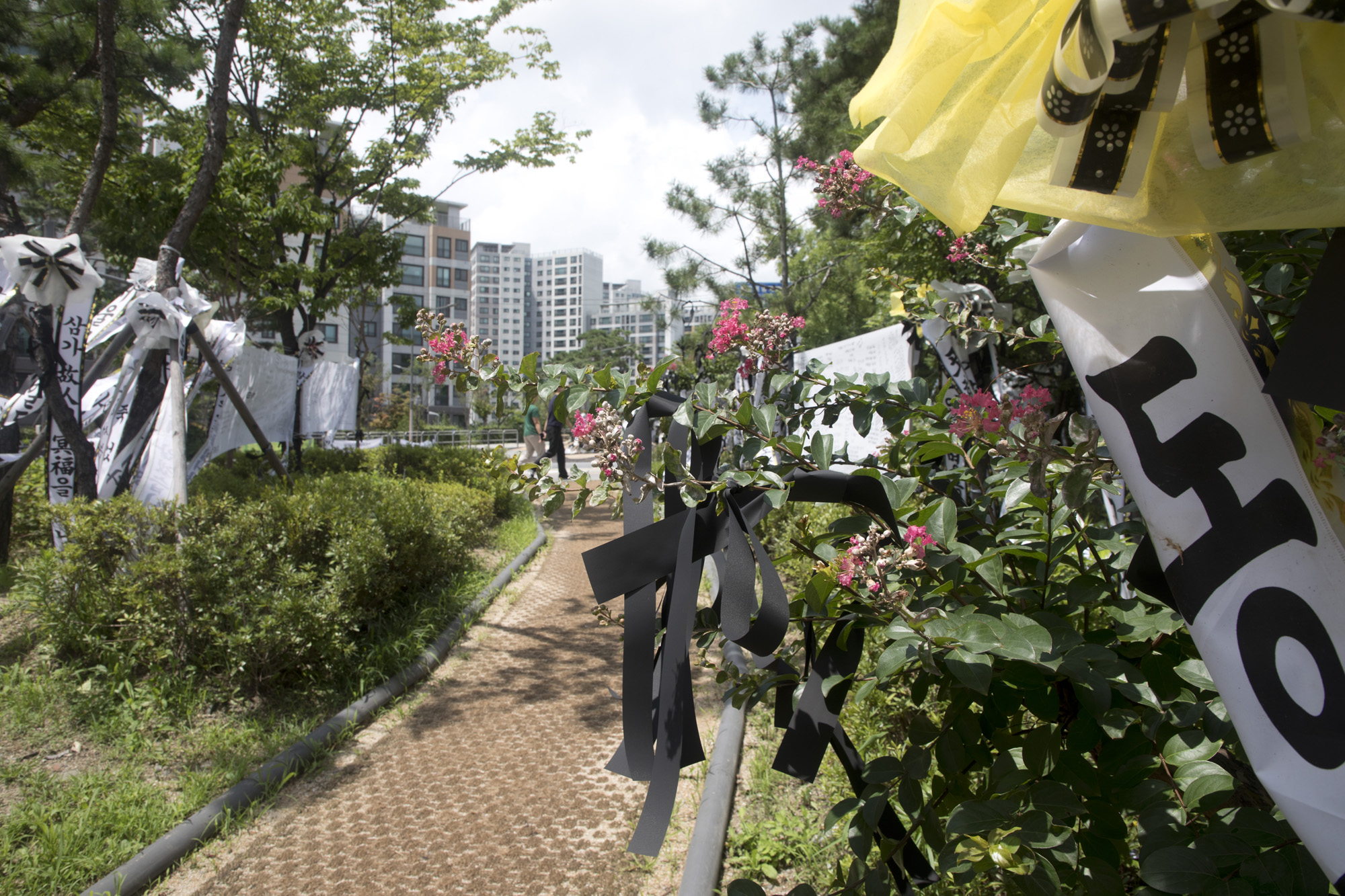 사화;세태;교권;서울교육청;서이초교사;추모;빈소;화환