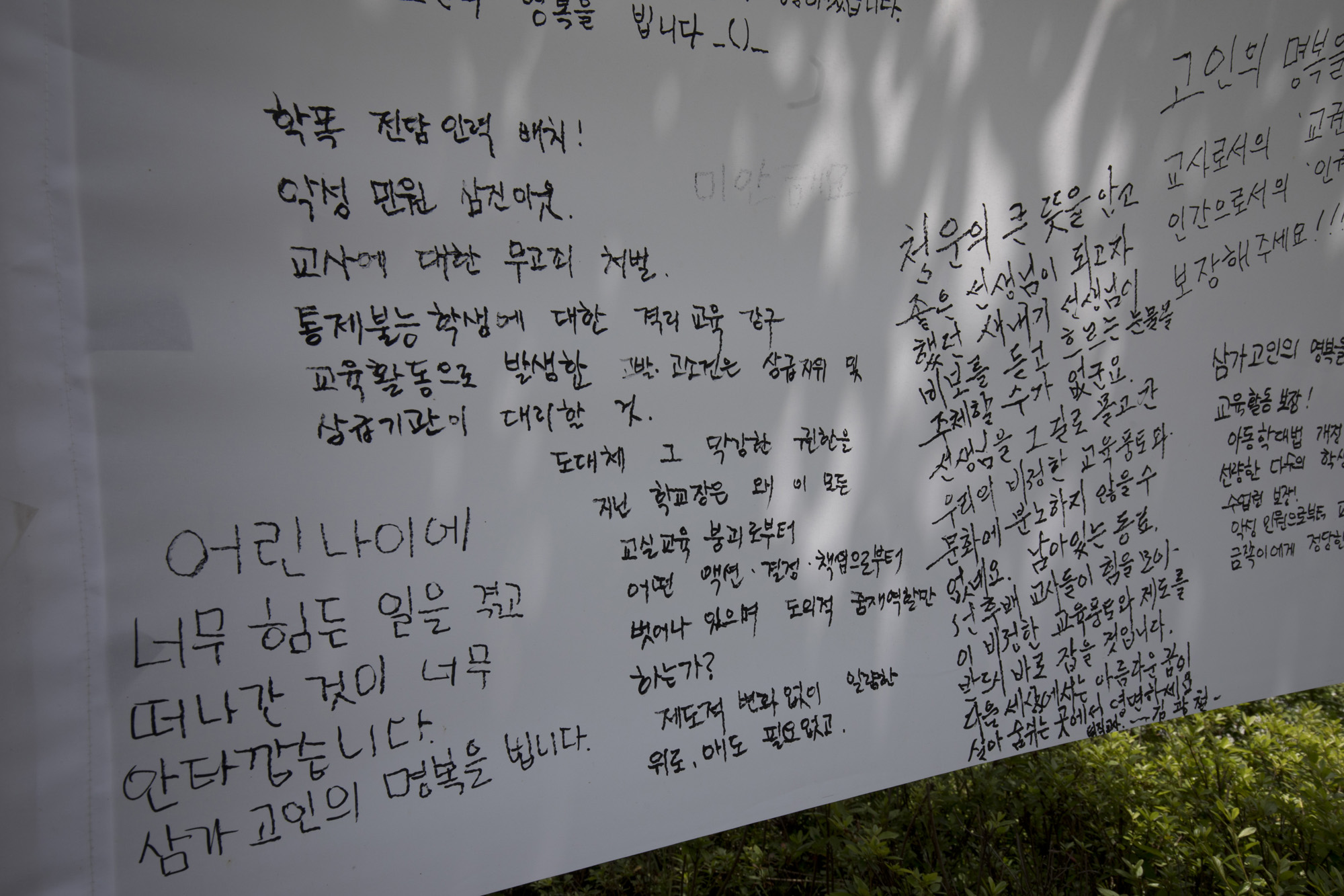 사화;세태;교권;서울교육청;서이초교사;추모;빈소;화환