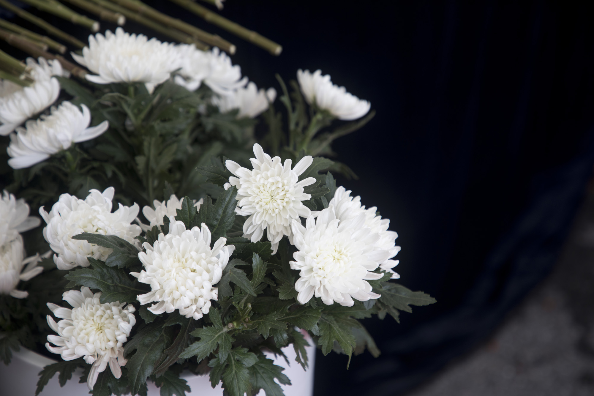 사화;세태;교권;서울교육청;서이초교사;추모;빈소;화환