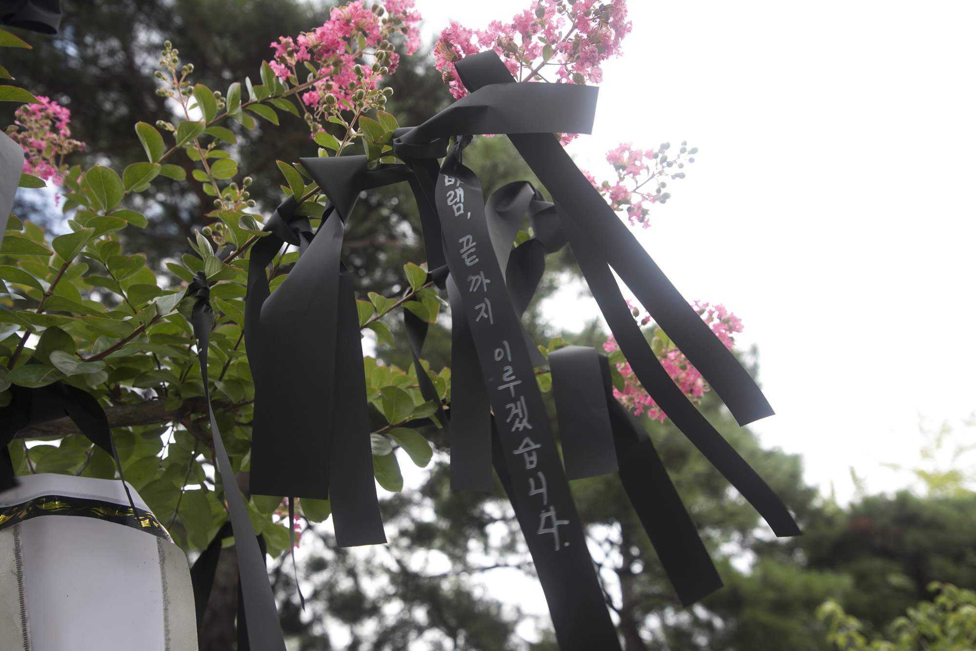 사화;세태;교권;서울교육청;서이초교사;추모;빈소;화환