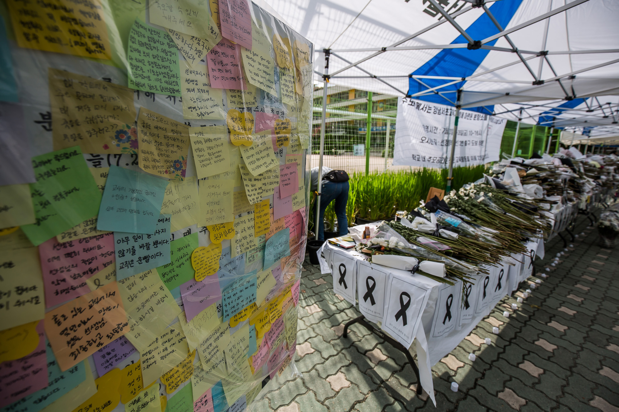 사회;사건사고;사망사고;자살사고;자살사건;초등학교교사;교사사망사건;서울서이초등학교;초등학교담임교사사망;서이초등학교추모공간