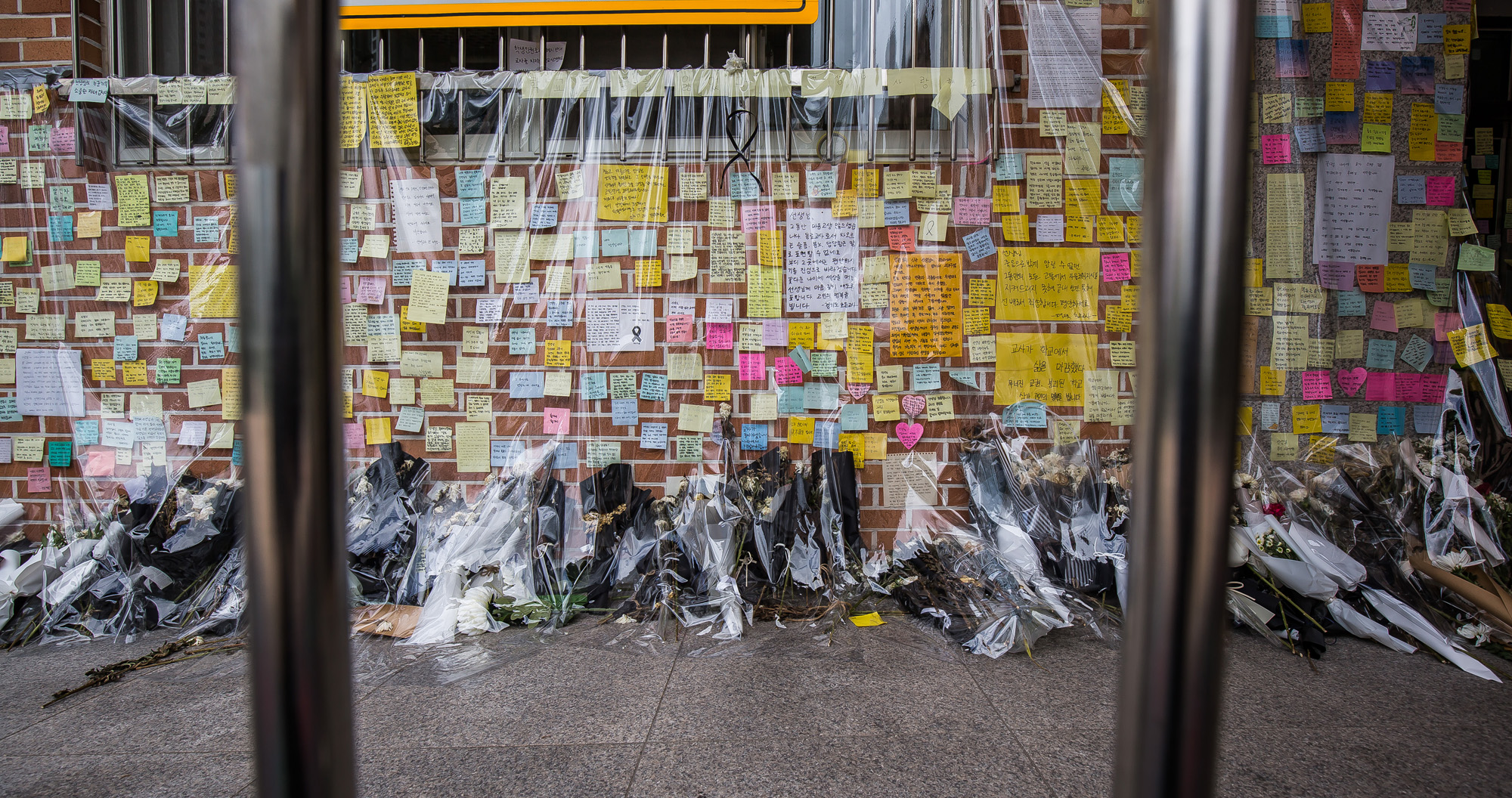 사회;사건사고;사망사고;자살사고;자살사건;초등학교교사;교사사망사건;서울서이초등학교;초등학교담임교사사망;서이초등학교추모공간