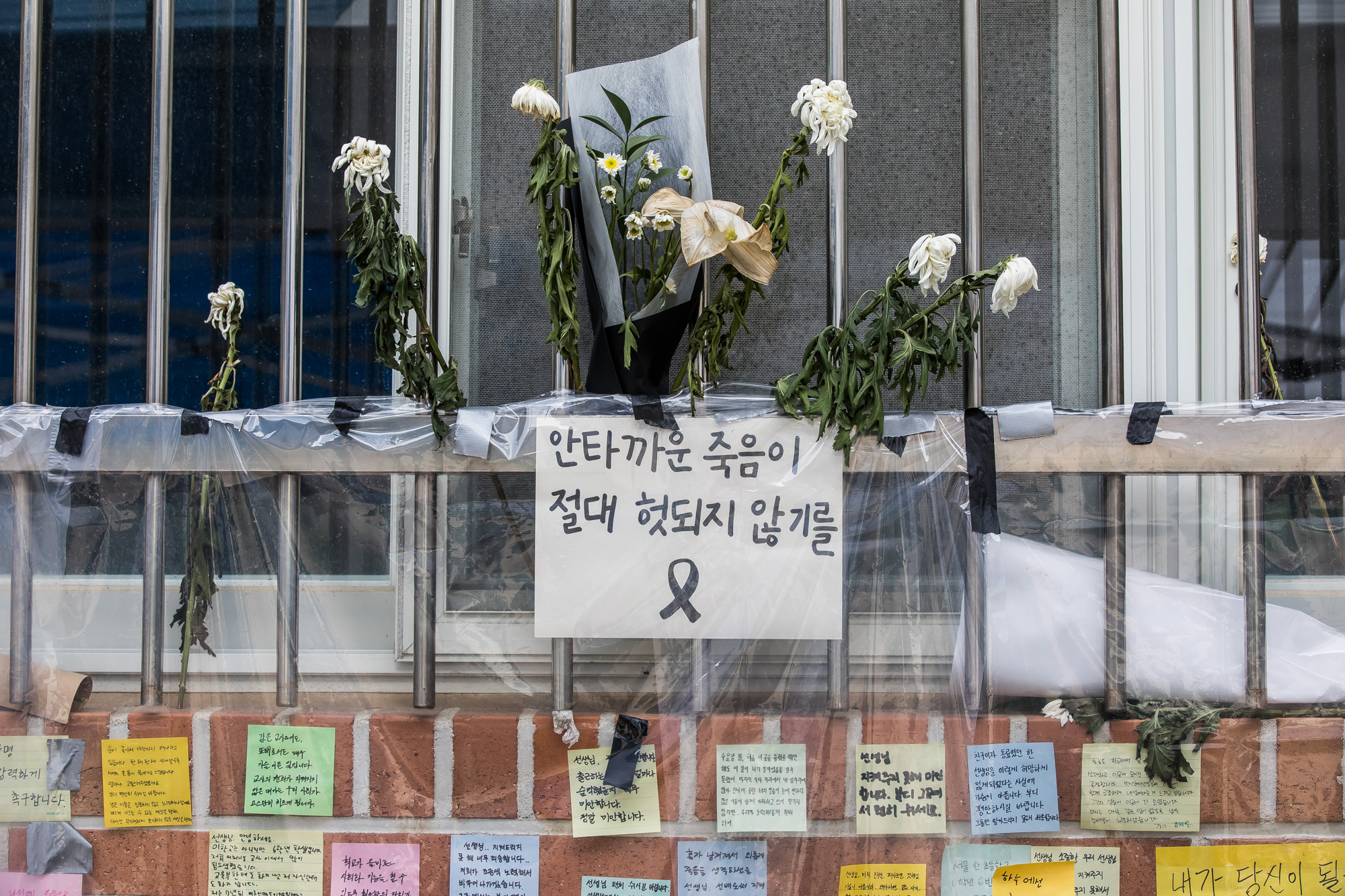 사회;사건사고;사망사고;자살사고;자살사건;초등학교교사;교사사망사건;서울서이초등학교;초등학교담임교사사망;서이초등학교추모공간