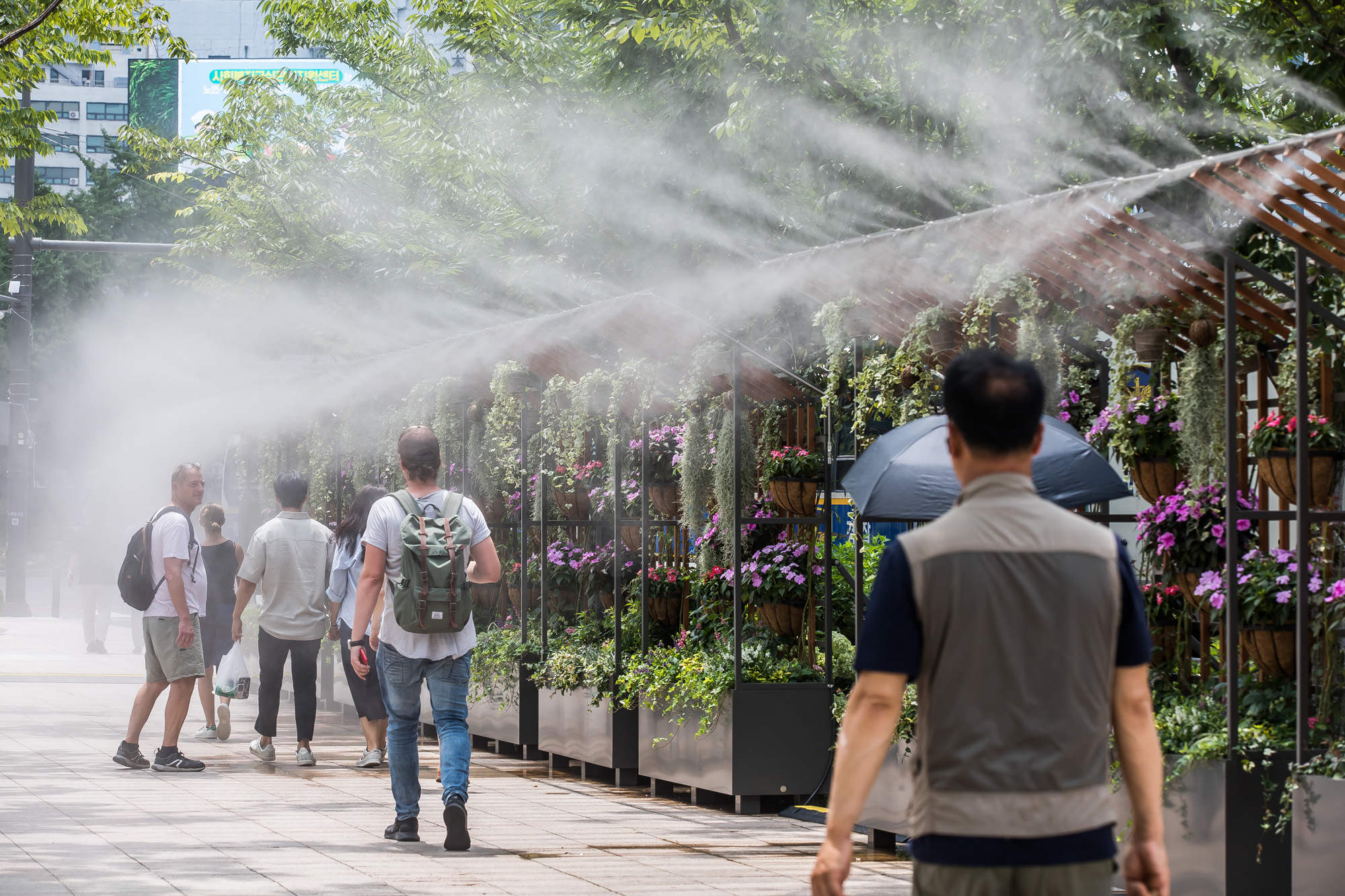 사회;환경;건강;날씨;날씨스케치;폭염스케치;여름;더위스케치;여름폭염