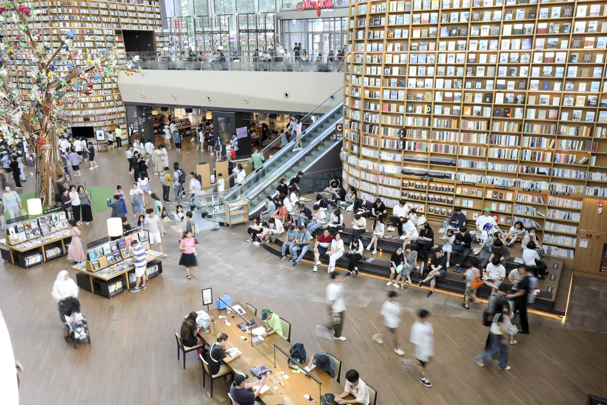 폭염;더위;코엑스;별마루도서관;에어컨;코엑스별마당;별마당도서관