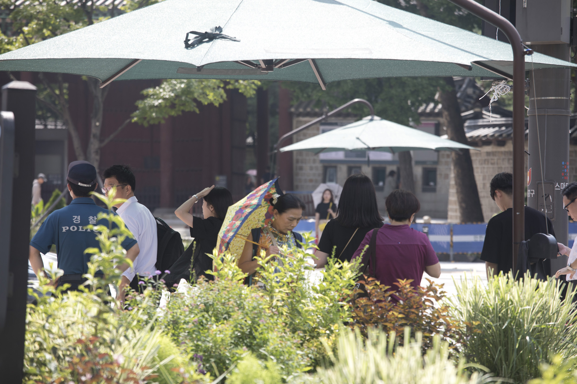 사회;세태;폭염;더위;여름;그늘막;횡단보도;서울광장