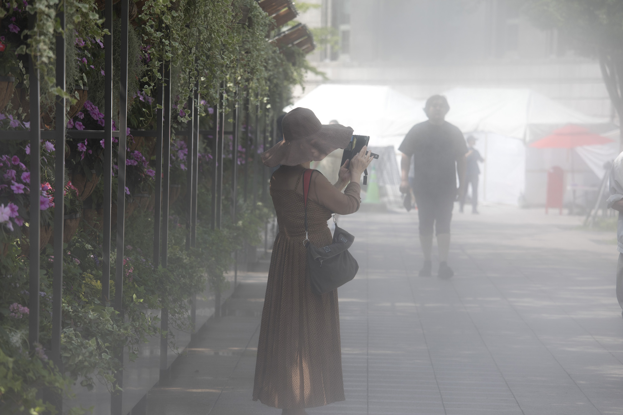 사회;세태;폭염;더위;여름;그늘막;횡단보도;쿨링포그;colling fog