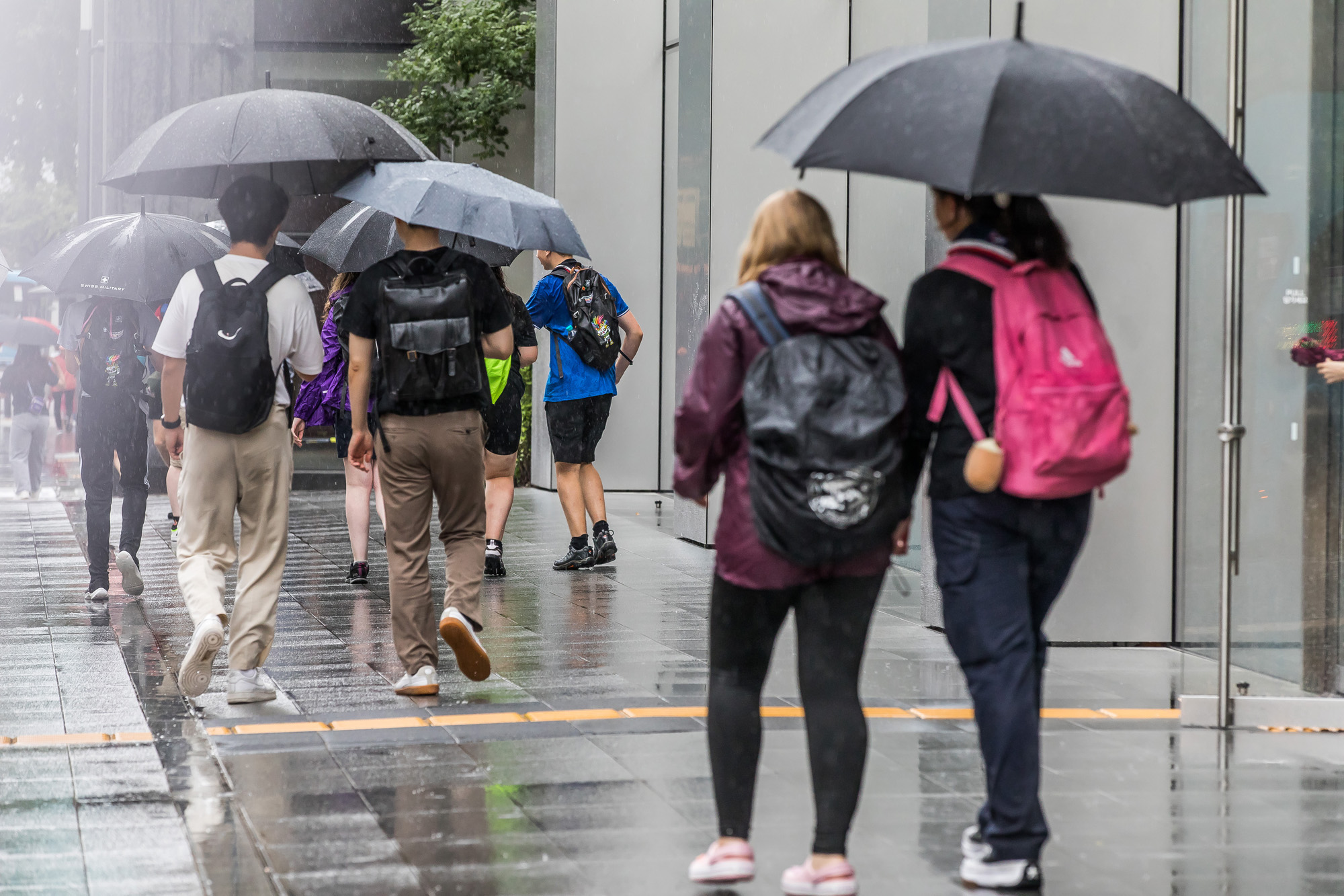 사회;사건사고;태풍;잼버리;새만금잼버리;태풍카눈;잼버리스카우트;스카우트명동방문