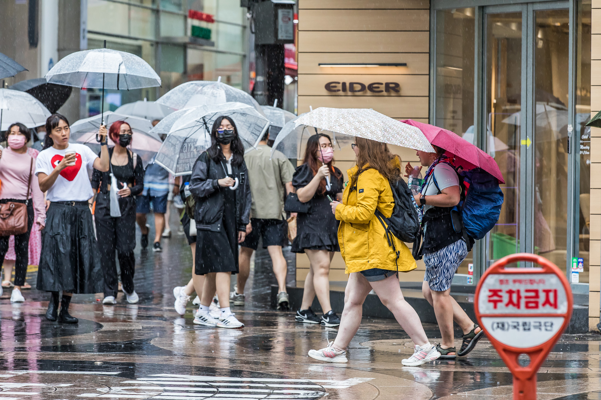 사회;사건사고;태풍;잼버리;새만금잼버리;태풍카눈;잼버리스카우트;스카우트명동방문