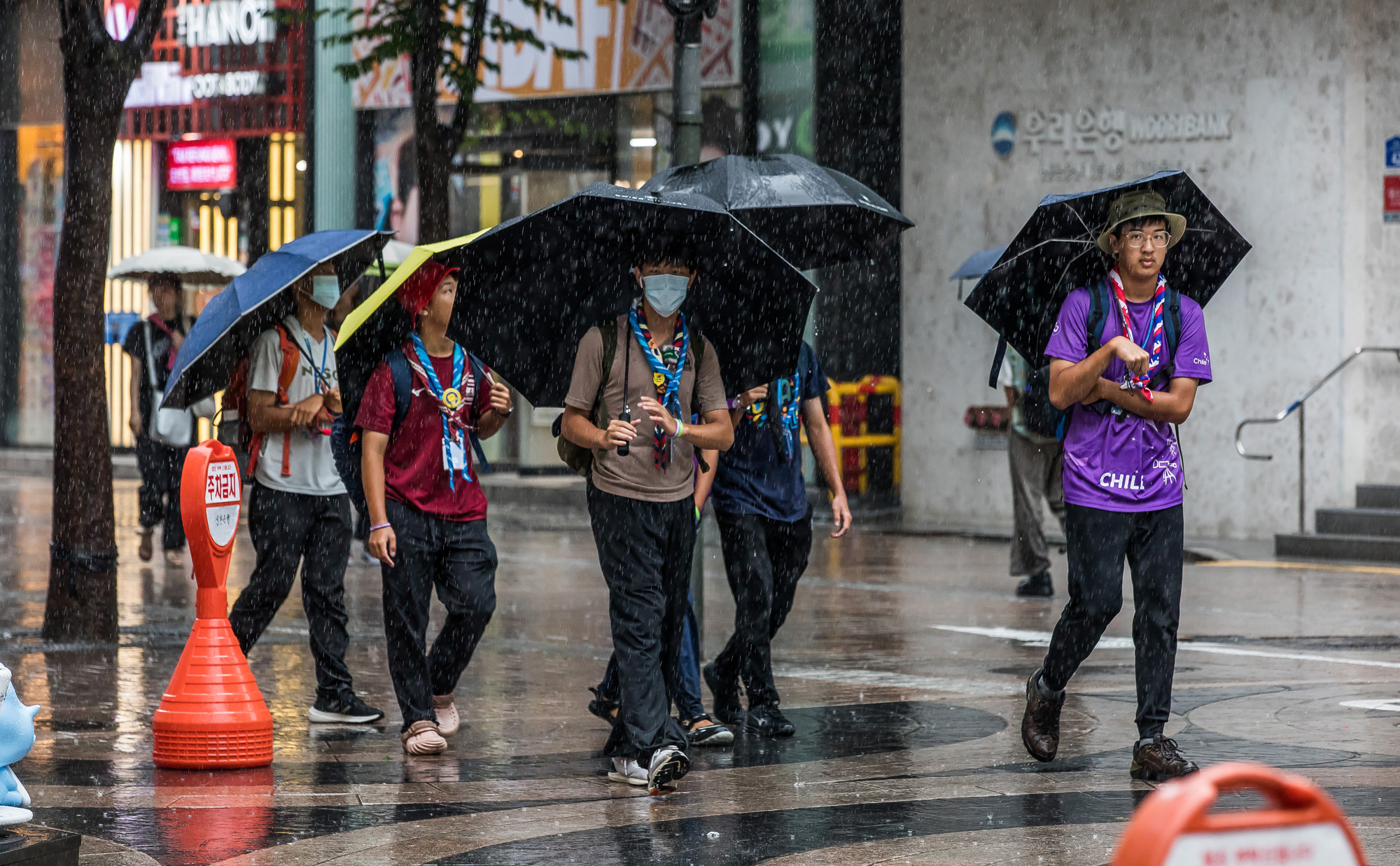 사회;사건사고;태풍;잼버리;새만금잼버리;태풍카눈;잼버리스카우트;스카우트명동방문