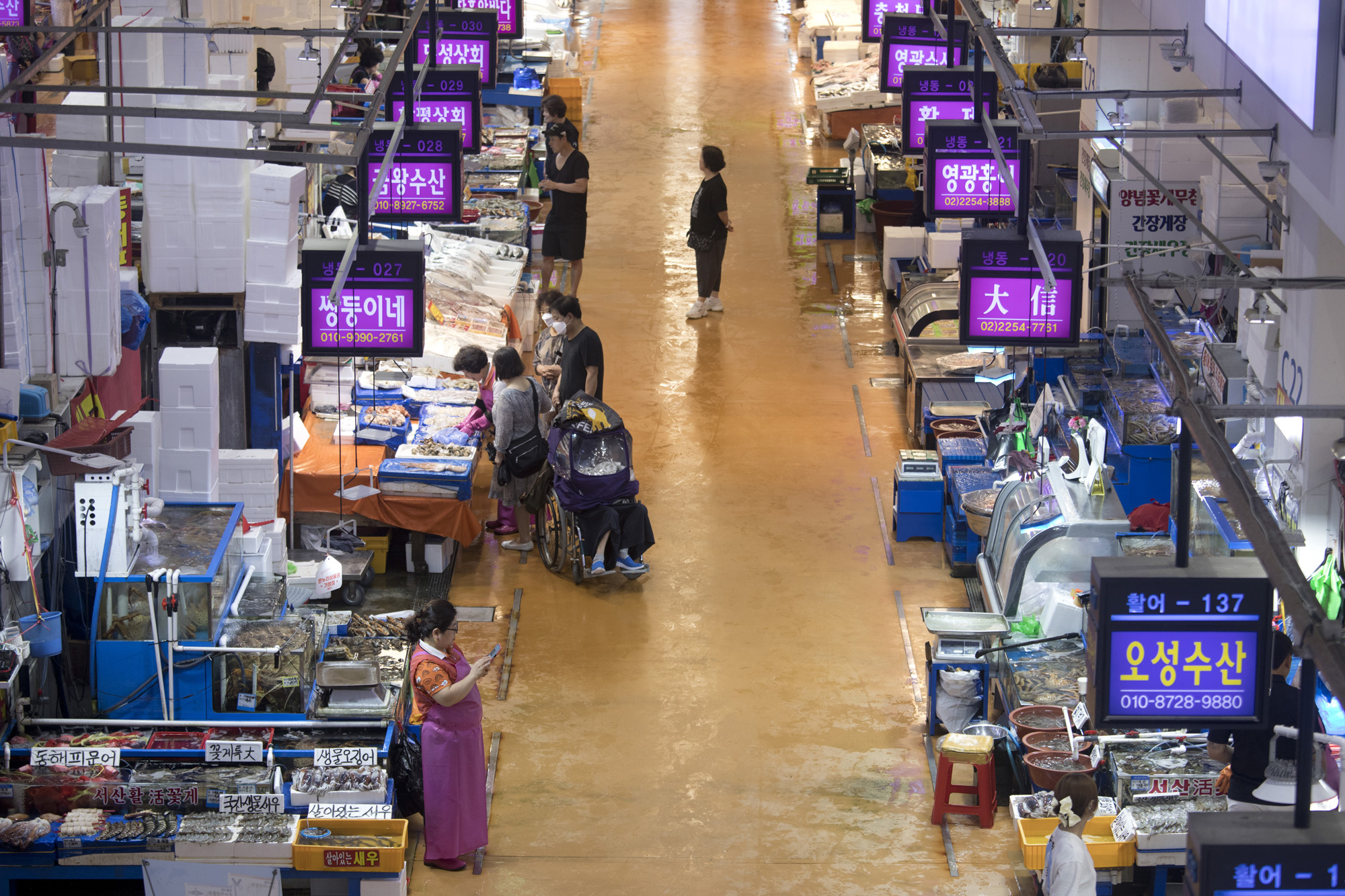 사회;세태;후쿠시마;방사능;오염수;노량진;수산시장