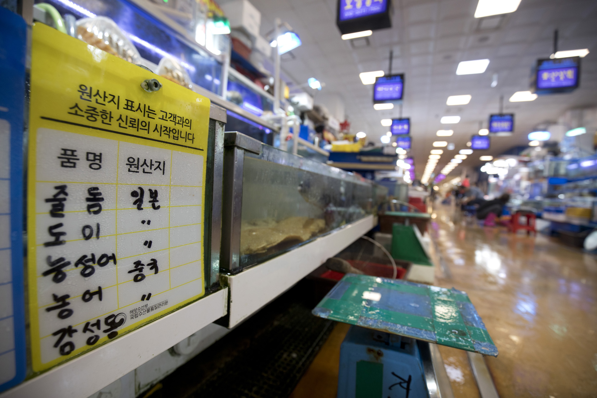 사회;세태;후쿠시마;방사능;오염수;노량진;수산시장