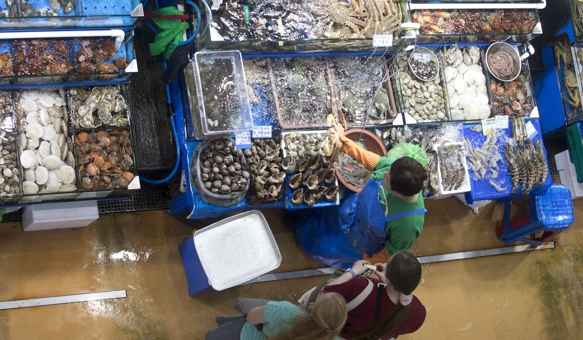 사회;세태;후쿠시마;방사능;오염수;노량진;수산시장