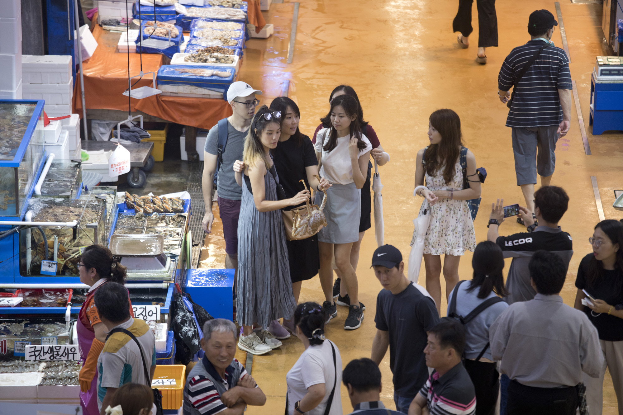 사회;세태;후쿠시마;방사능;오염수;노량진;수산시장