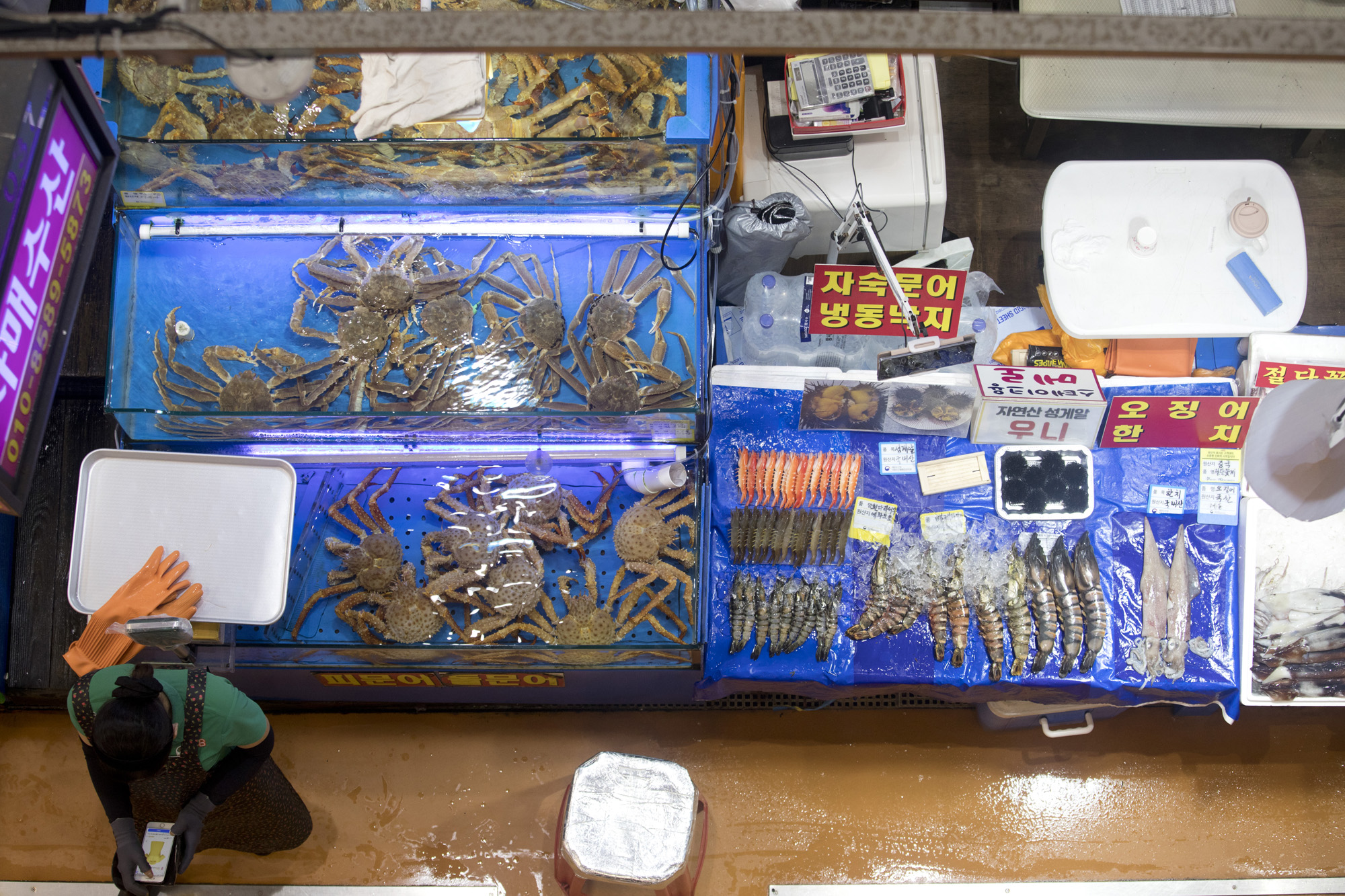 사회;세태;후쿠시마;방사능;오염수;노량진;수산시장