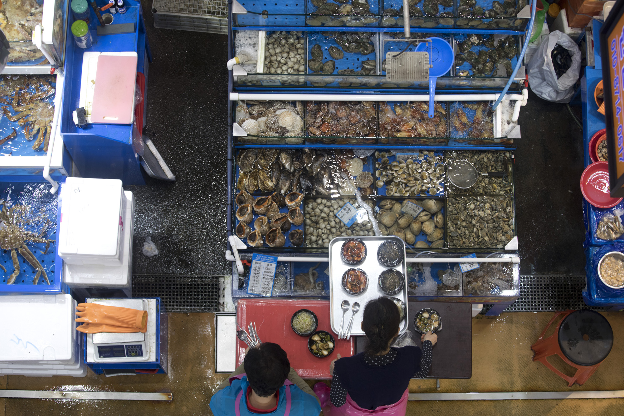 사회;세태;후쿠시마;방사능;오염수;노량진;수산시장