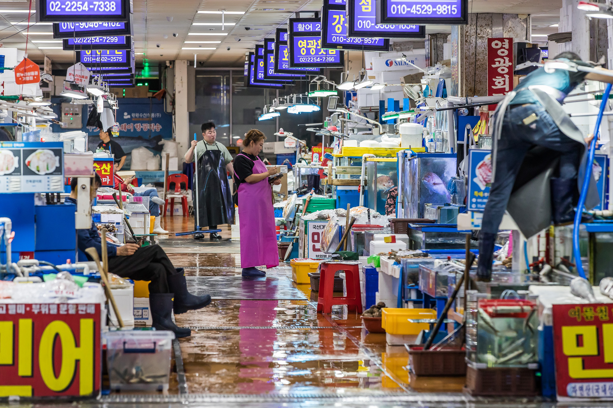 사회;세태;국제;외교;일본;일본방사능;후쿠시마원전방사능오염수방류;일본방사능오염수방류;노량진수산시장;해양수산물방사능오염
