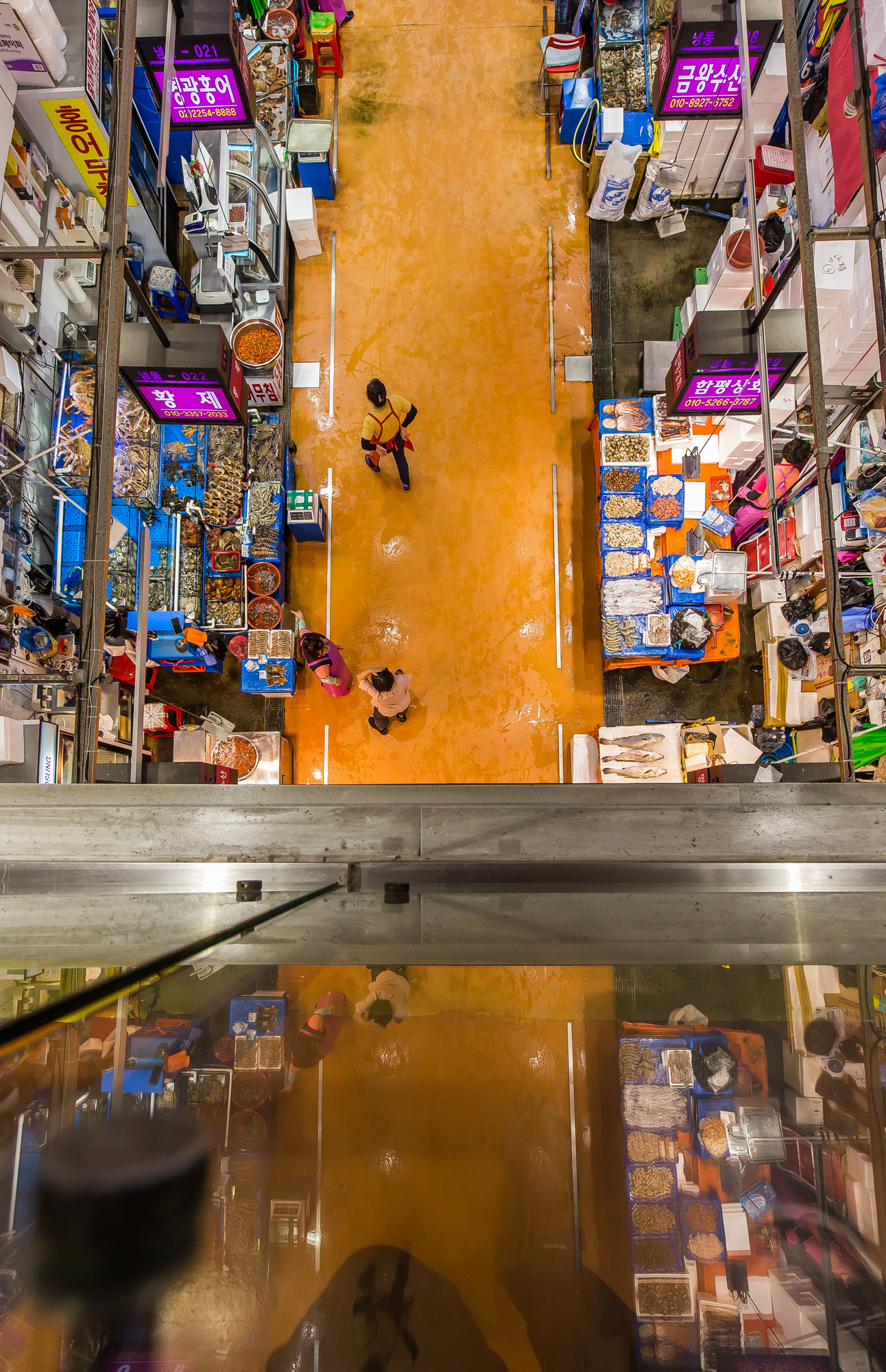 사회;세태;국제;외교;일본;일본방사능;후쿠시마원전방사능오염수방류;일본방사능오염수방류;노량진수산시장;해양수산물방사능오염