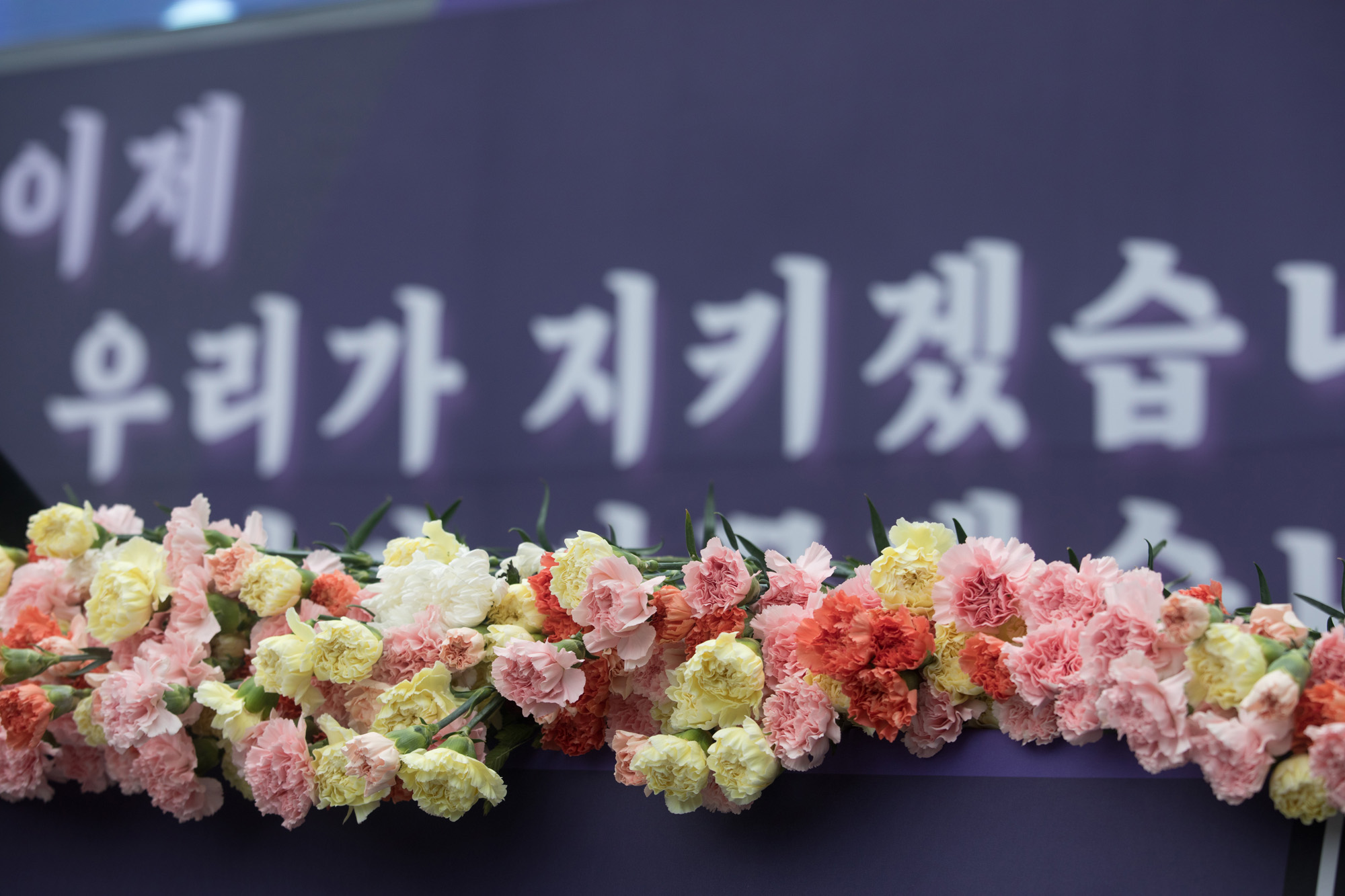 사회;교육;서이초;추모;49재