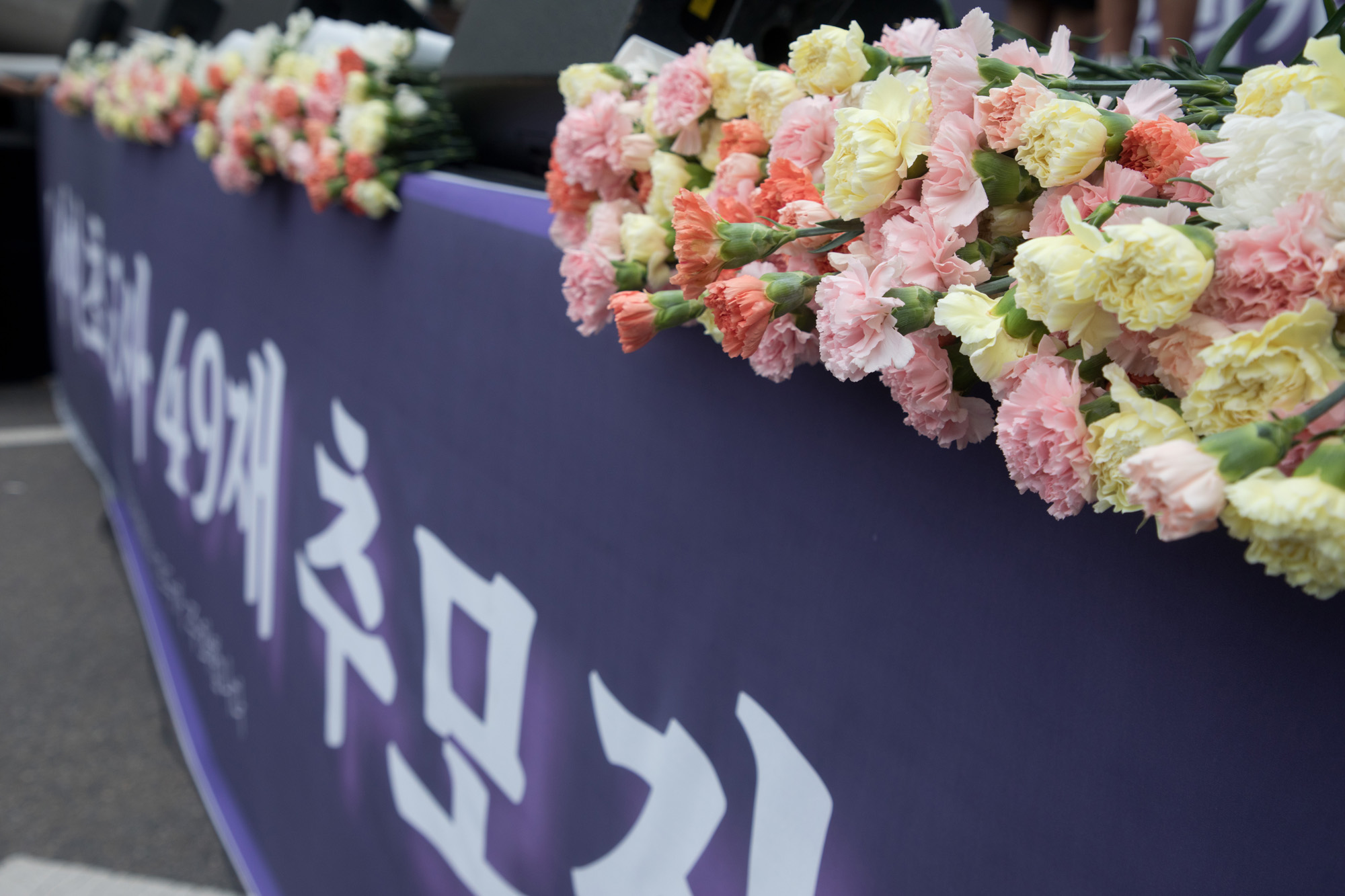 사회;교육;서이초;추모;49재