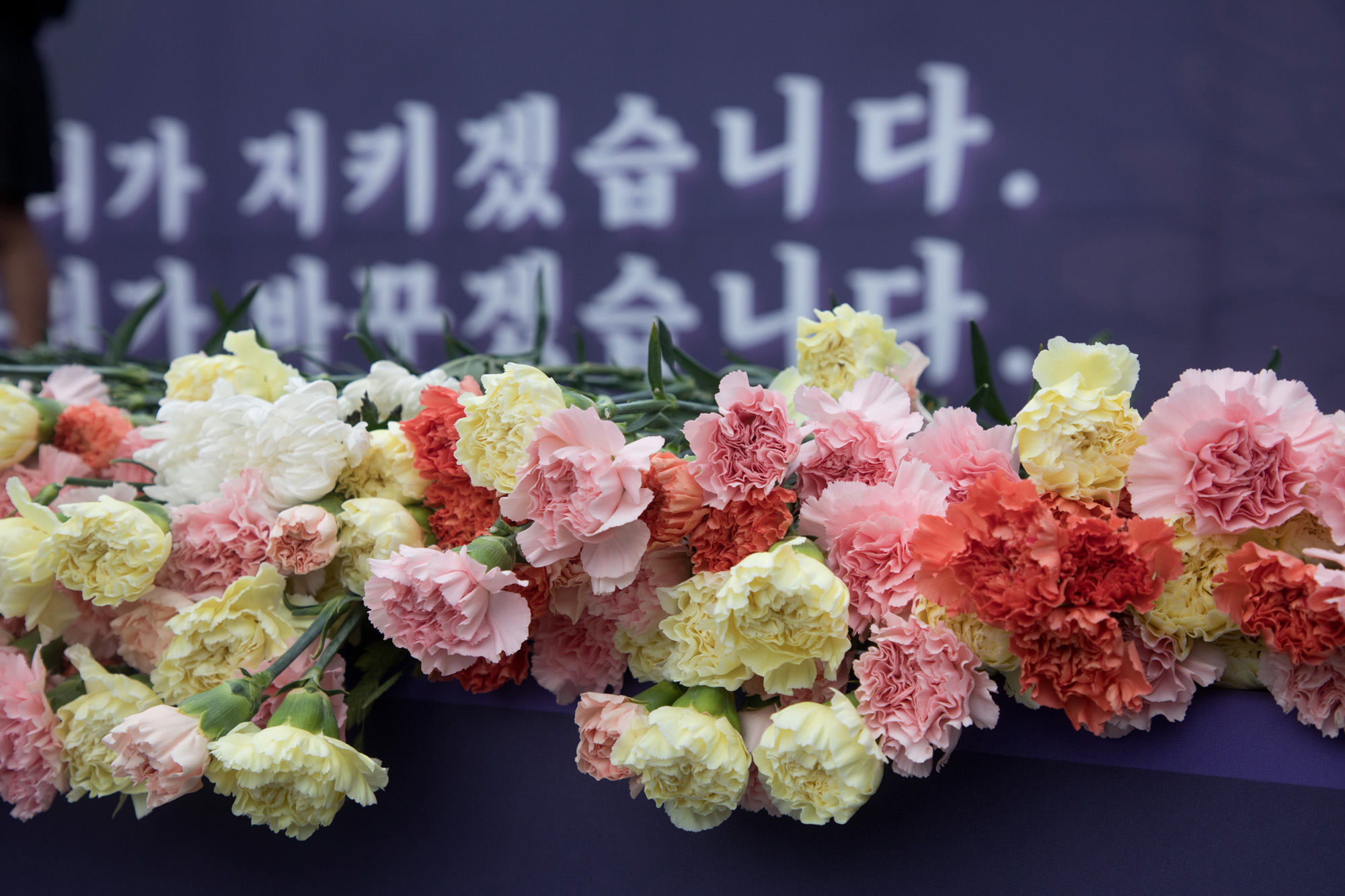 사회;교육;서이초;추모;49재