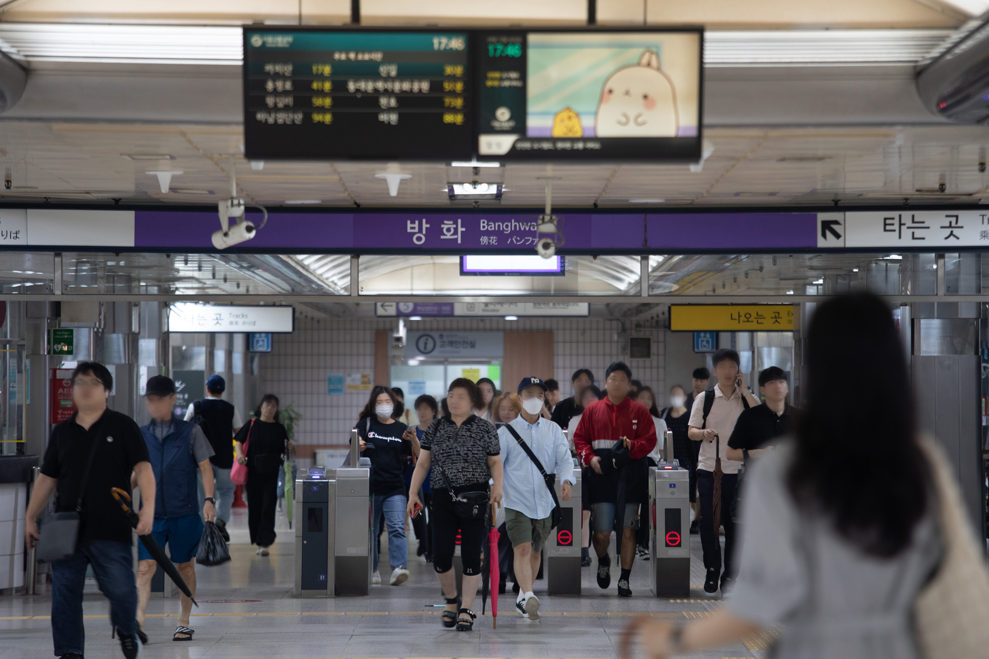 정치;선거;강서구청장;보궐선거;르포