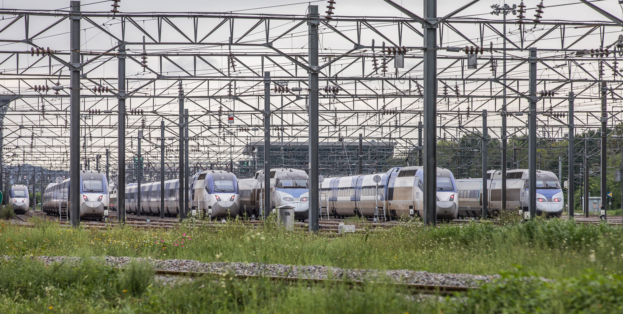 사회;사건사고;파업;철도노조파업;전국철도노동조합총파업;철도차량정비단;서울역열차운행중지