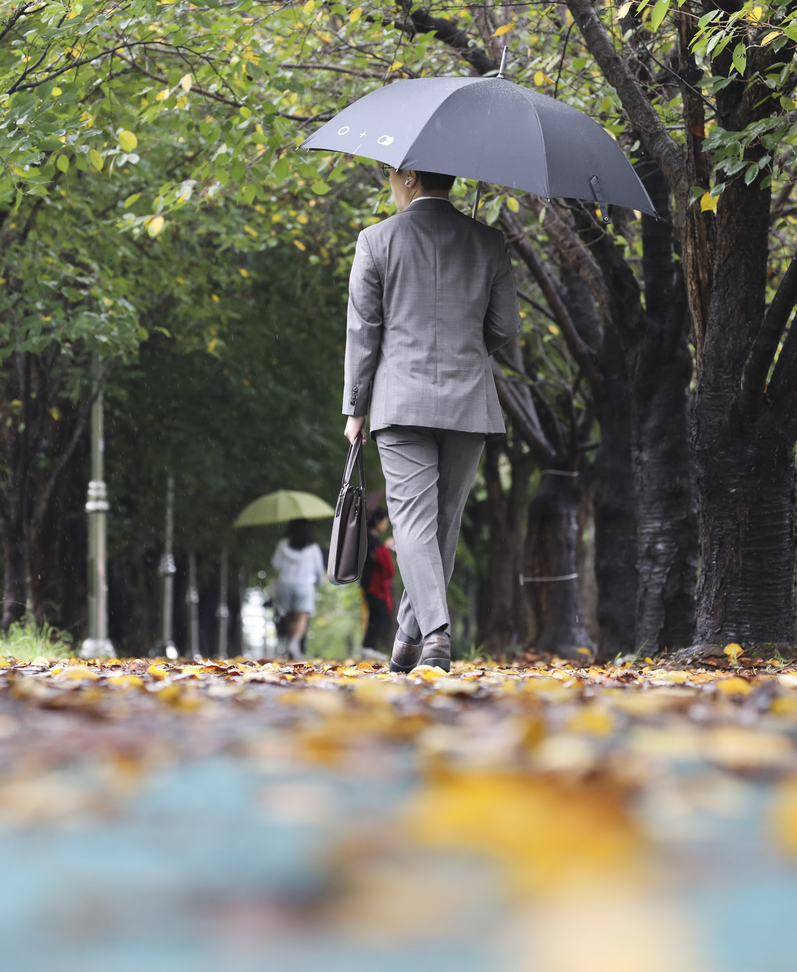 가을비;가을장마;미헌시민의숲;날씨;비