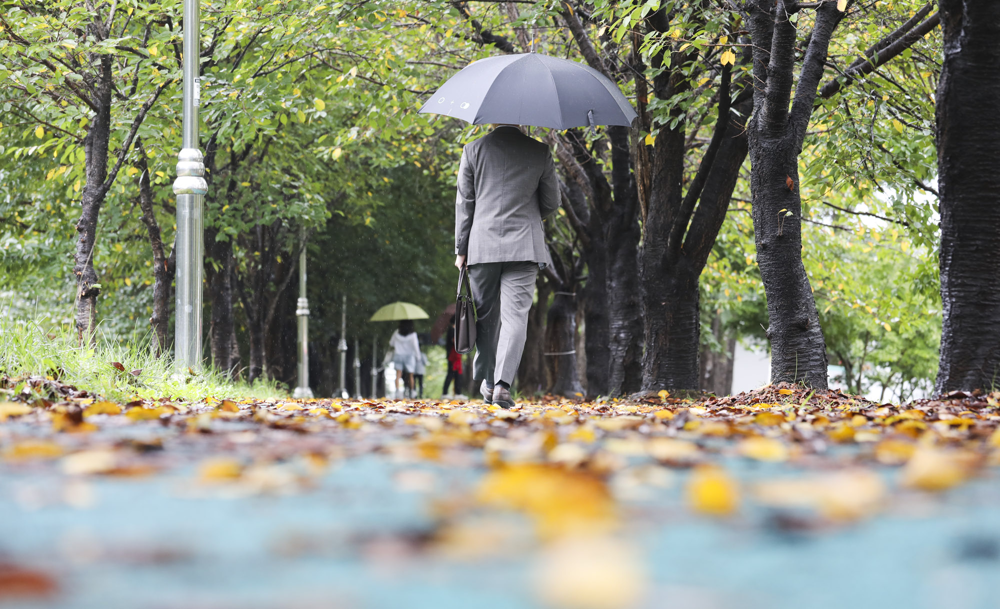 가을비;가을장마;미헌시민의숲;날씨;비