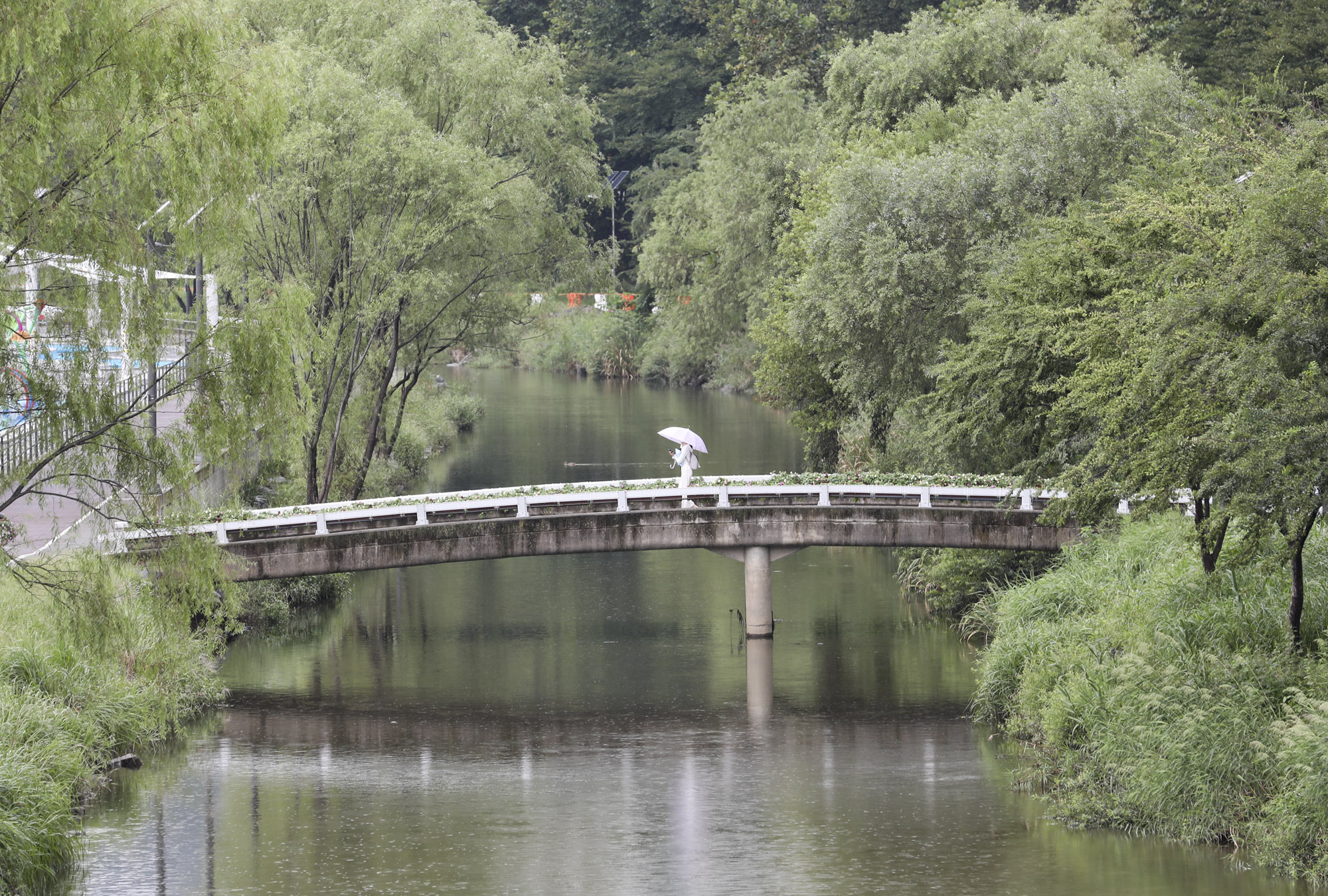 가을비;가을장마;미헌시민의숲;날씨;비