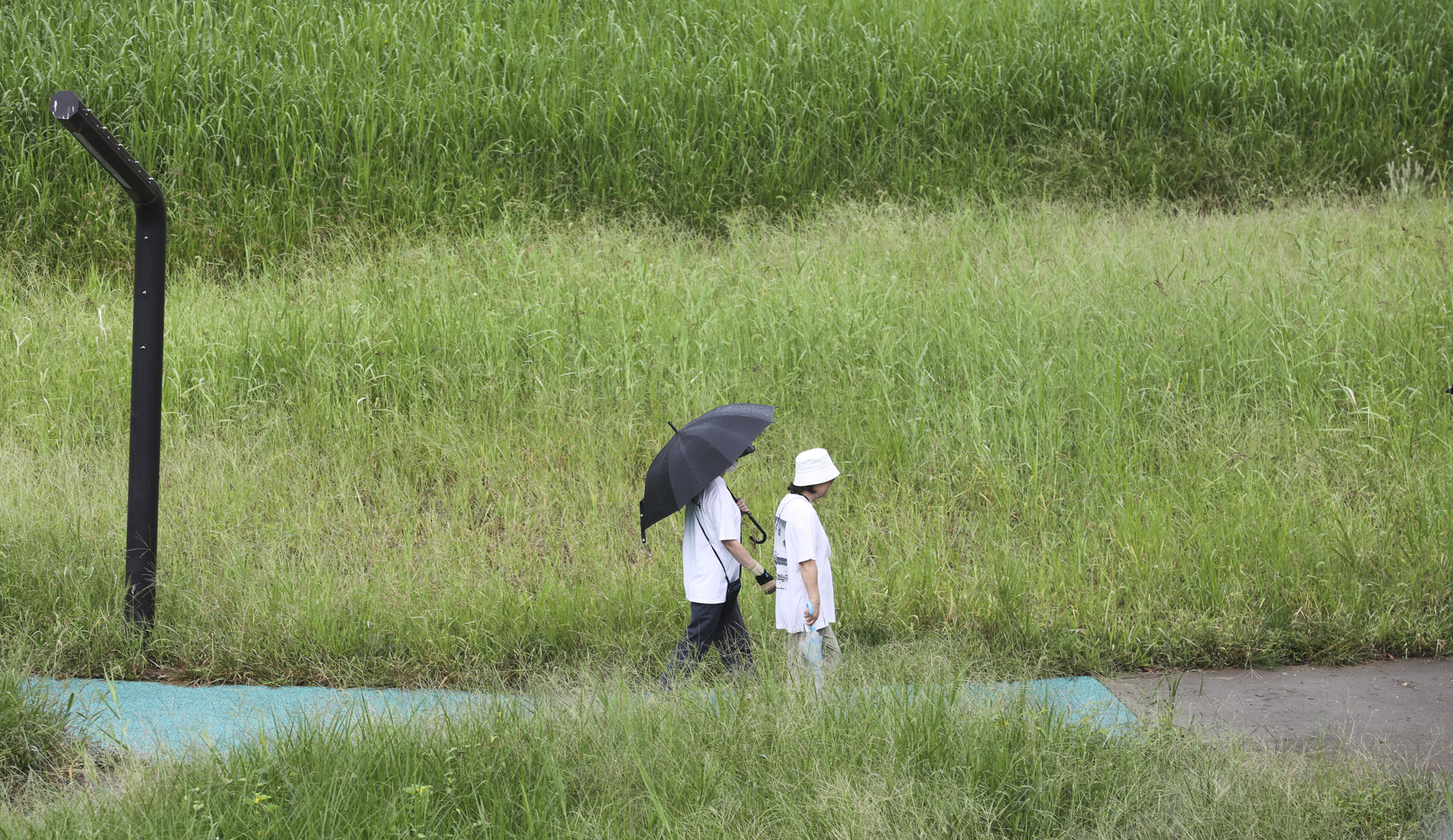 가을비;가을장마;미헌시민의숲;날씨;비