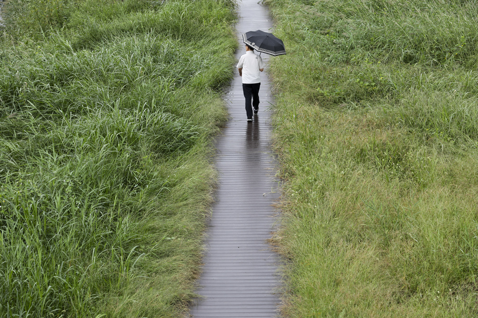 가을비;가을장마;미헌시민의숲;날씨;비