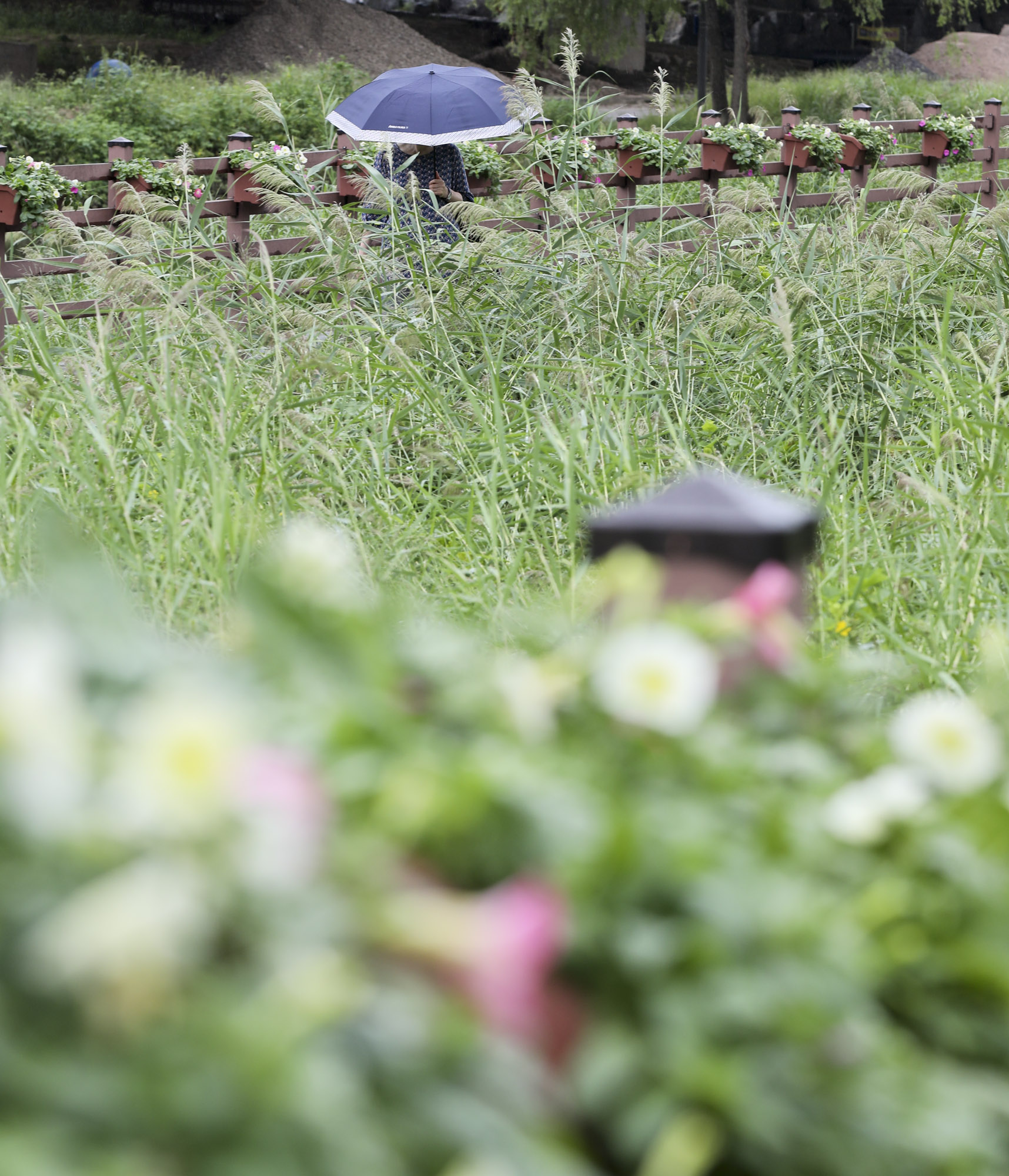 가을비;가을장마;미헌시민의숲;날씨;비