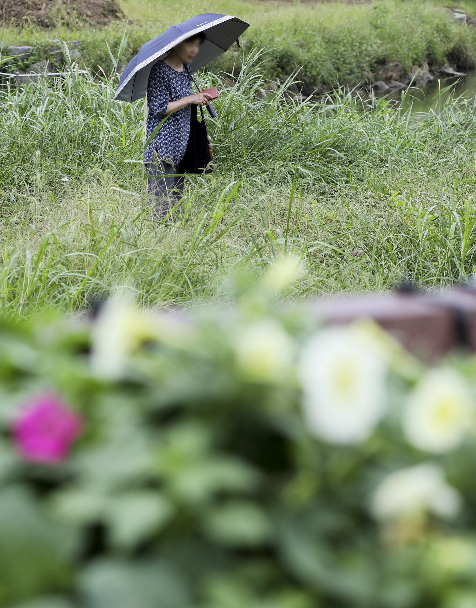 가을비;가을장마;미헌시민의숲;날씨;비