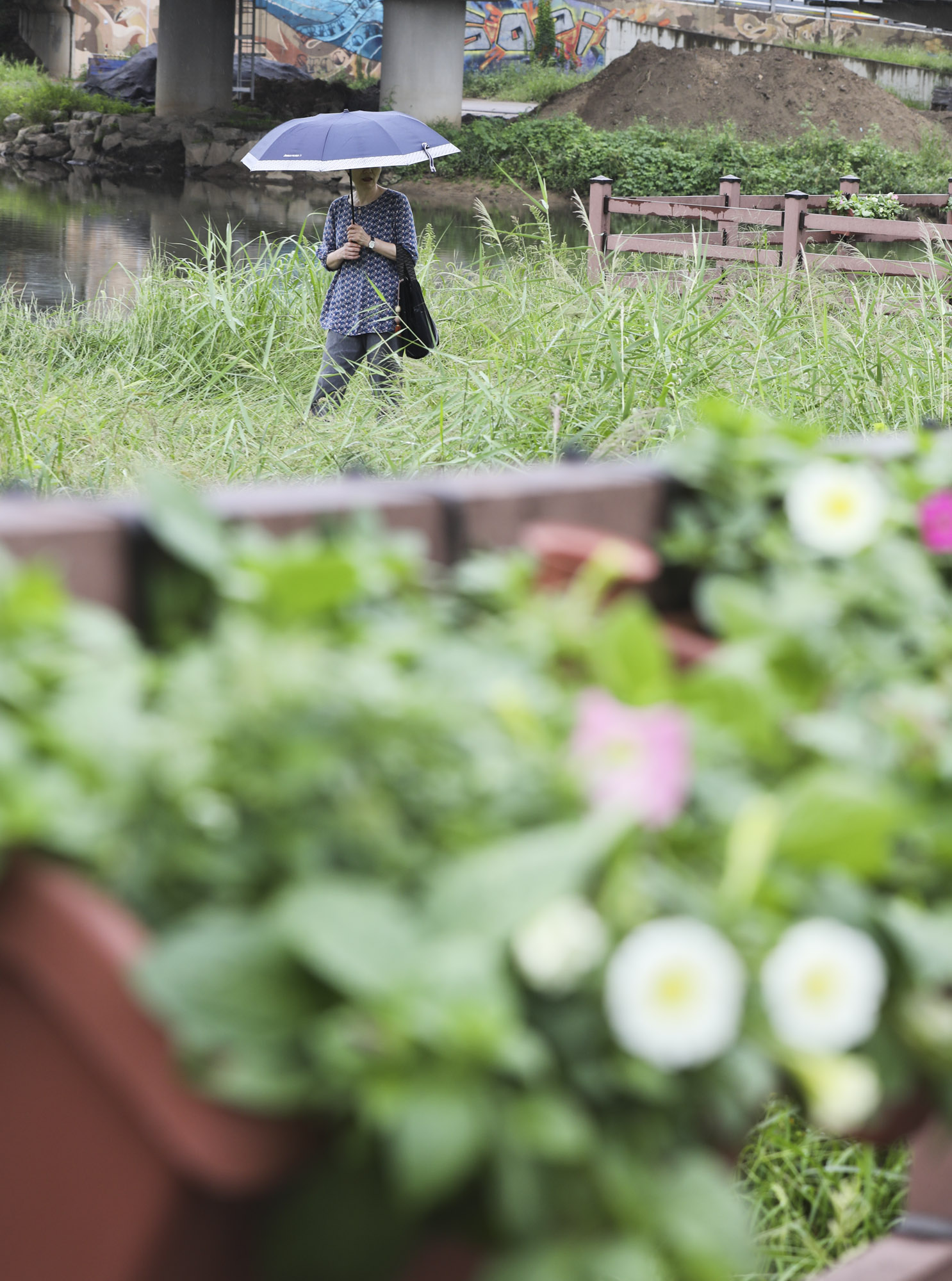 가을비;가을장마;미헌시민의숲;날씨;비