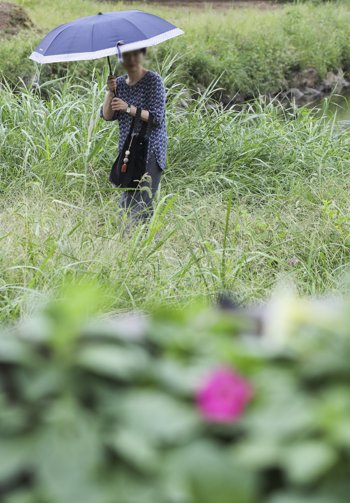 가을비;가을장마;미헌시민의숲;날씨;비