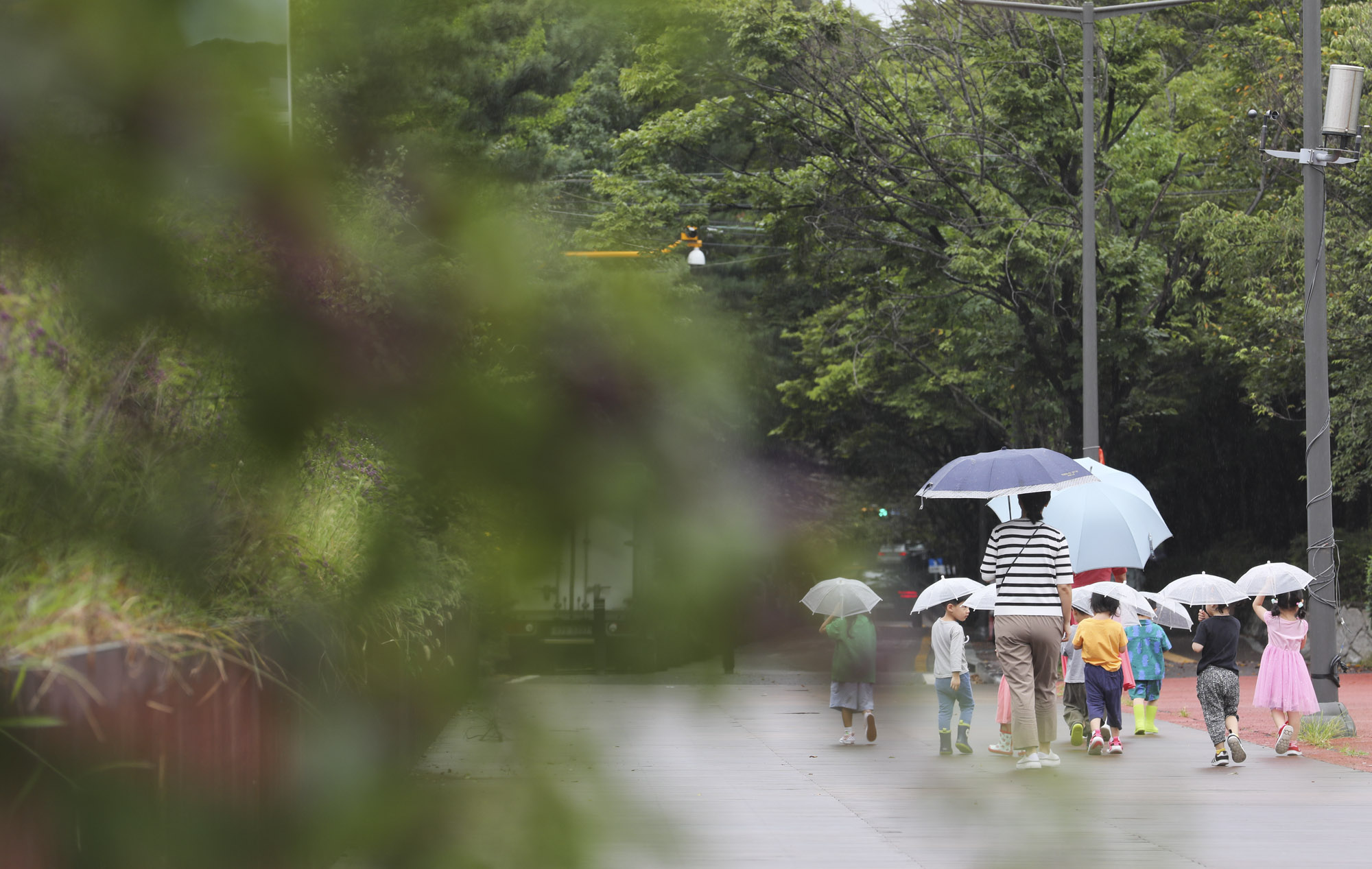 가을비;가을장마;미헌시민의숲;날씨;비