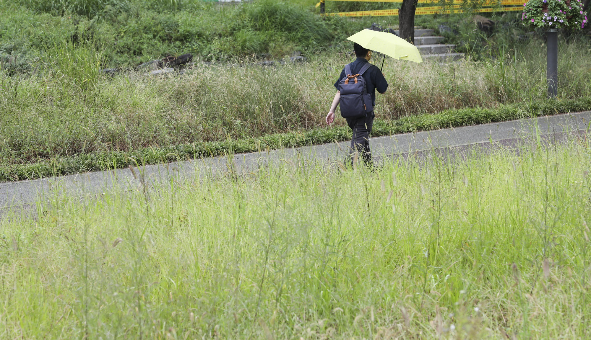 가을비;가을장마;미헌시민의숲;날씨;비