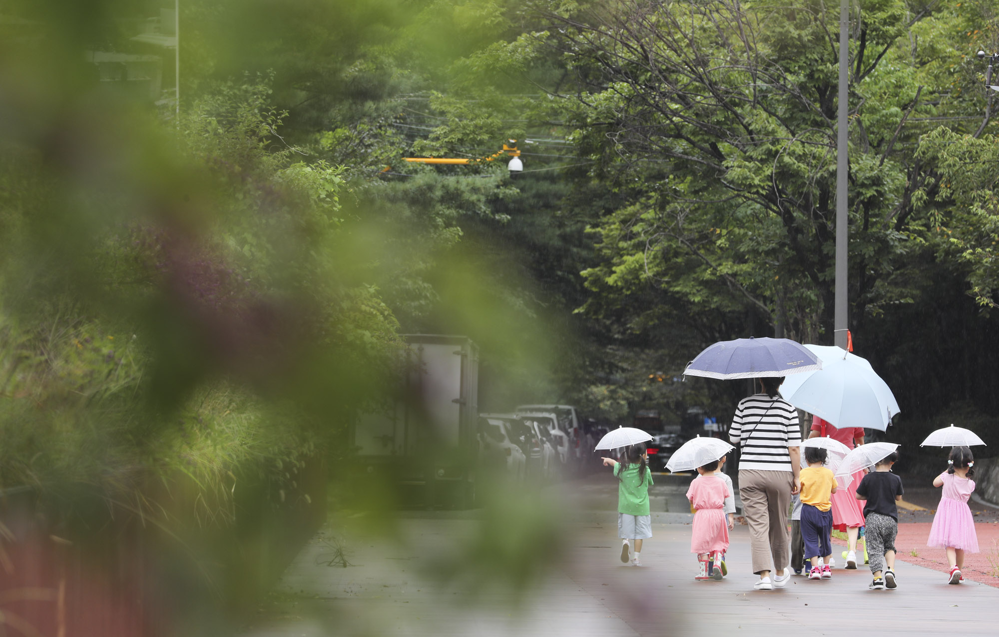 가을비;가을장마;미헌시민의숲;날씨;비