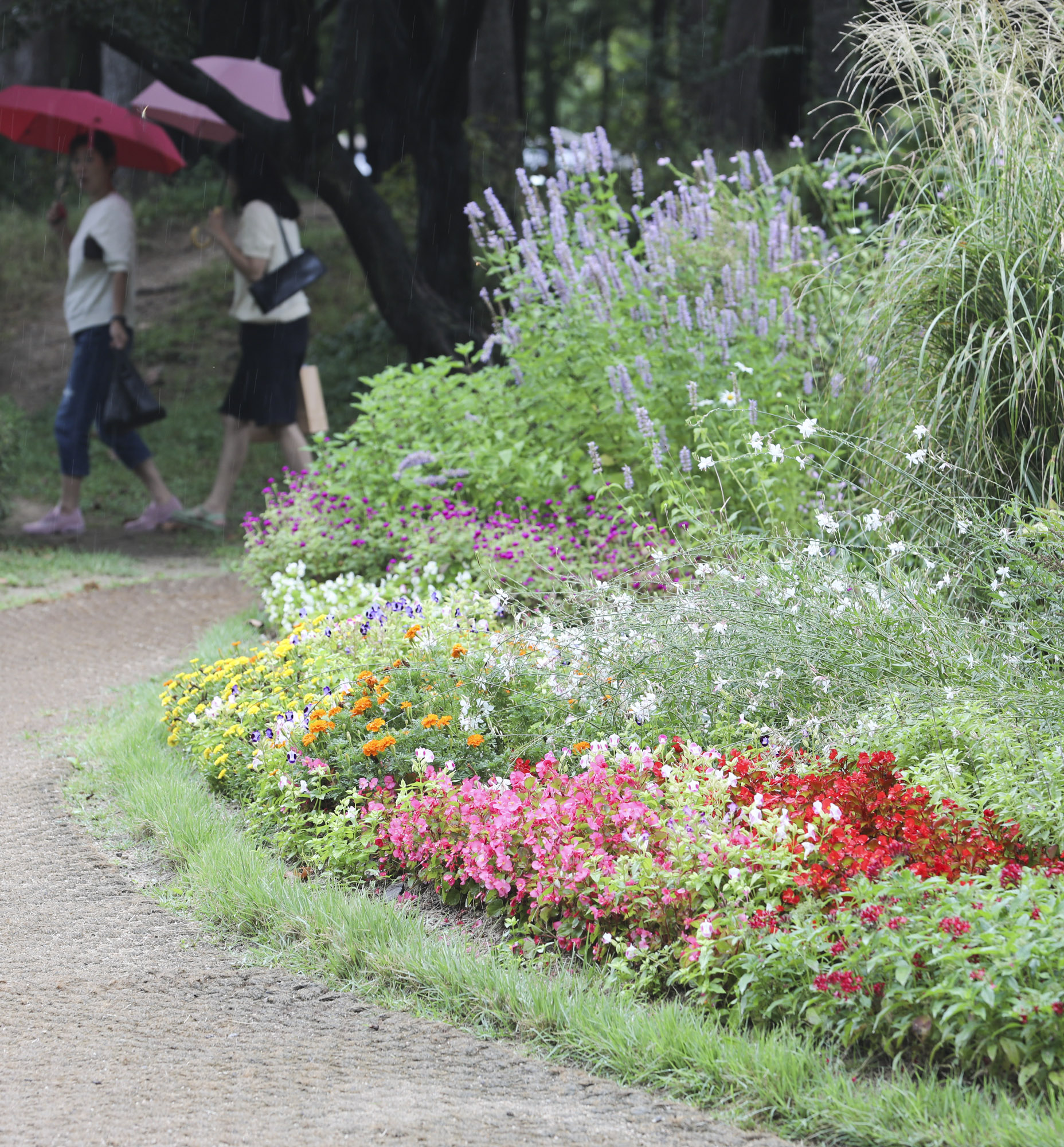 가을비;가을장마;미헌시민의숲;날씨;비