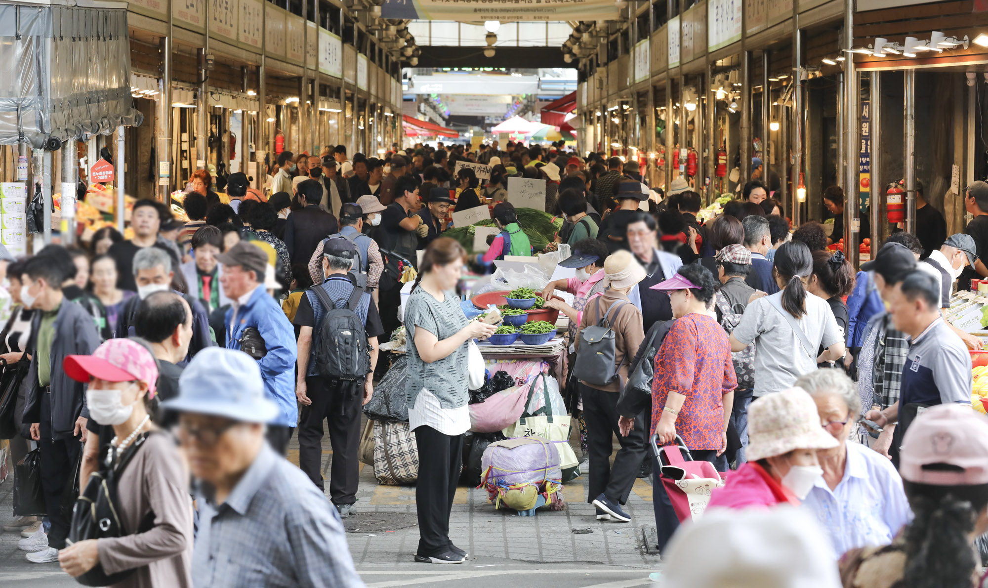 경동시장;추석;추석물가;추석재래시장;추석전통시장;명절시장
