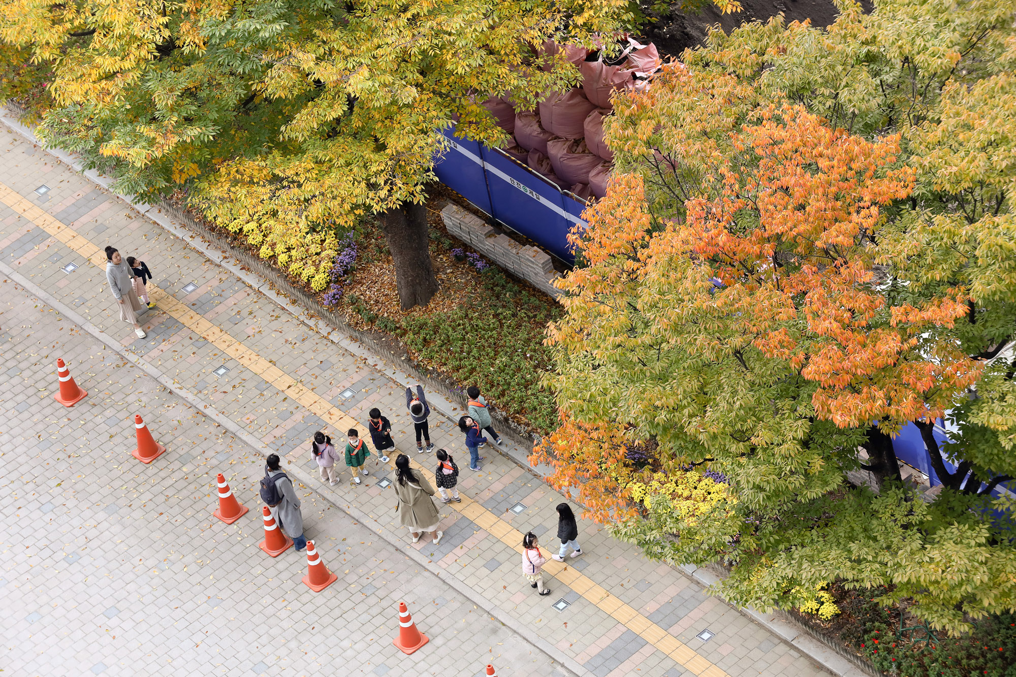 가을 단풍