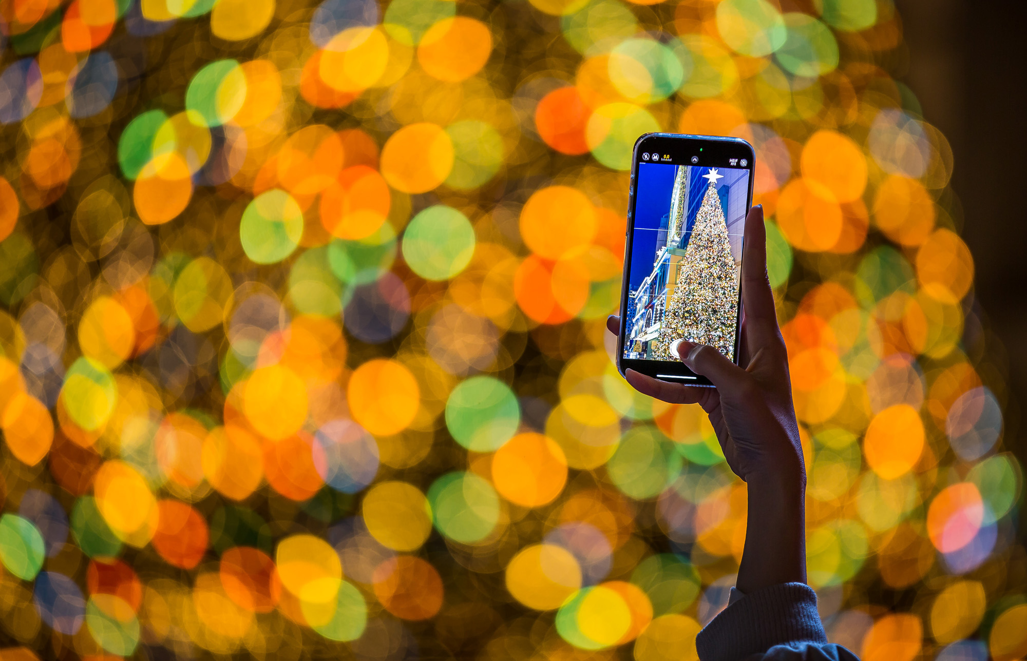 사회;세태;계절;겨울;크리스마스;크리스마스테마장식;롯데백화점본점;mydearestwish