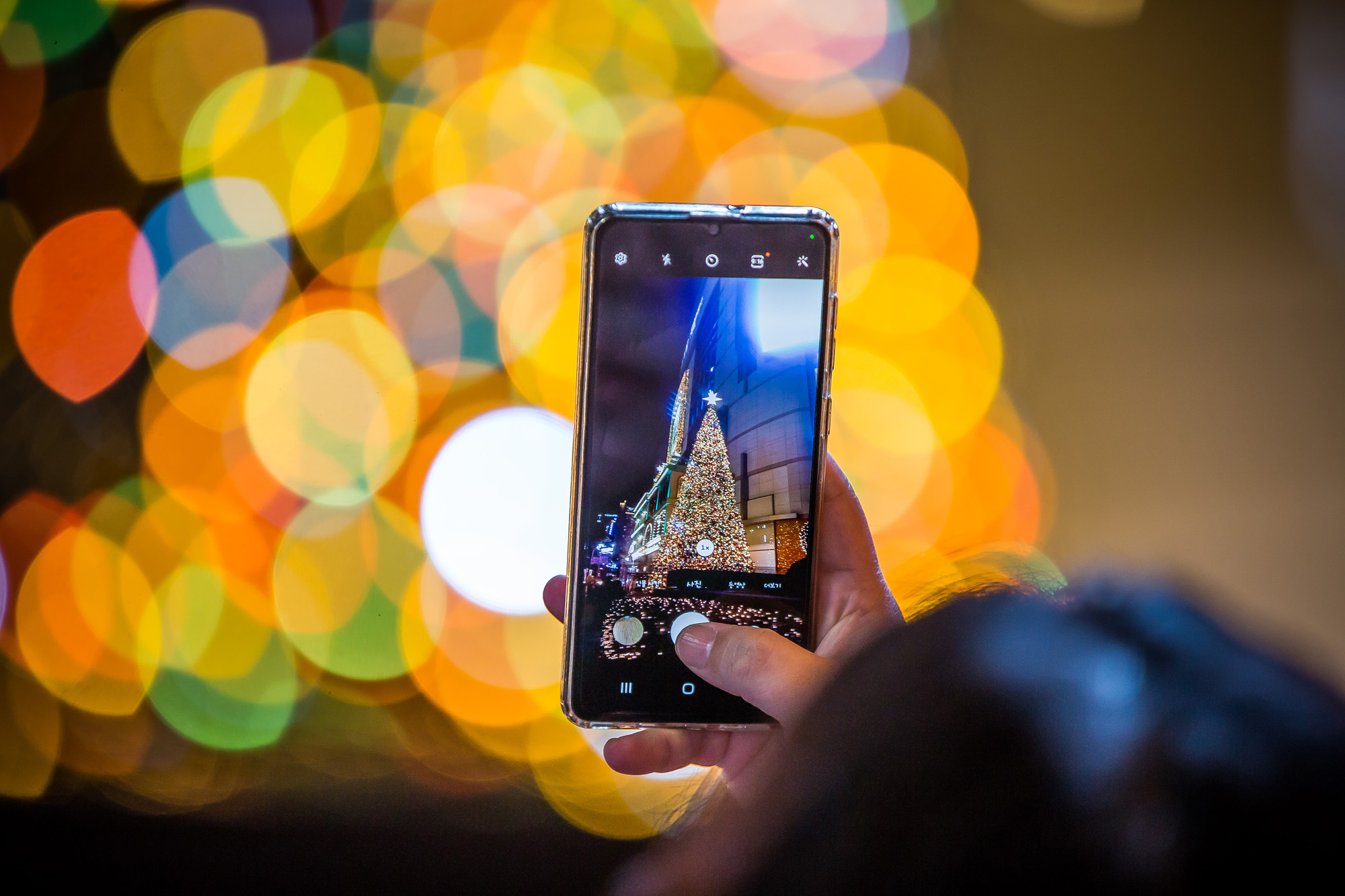 사회;세태;계절;겨울;크리스마스;크리스마스테마장식;롯데백화점본점;mydearestwish