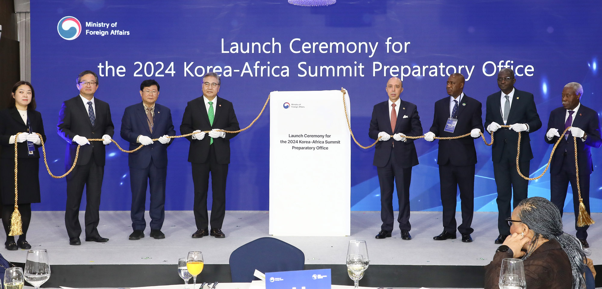 한 아프리카 정상회의 준비기획단 현판식 박진 