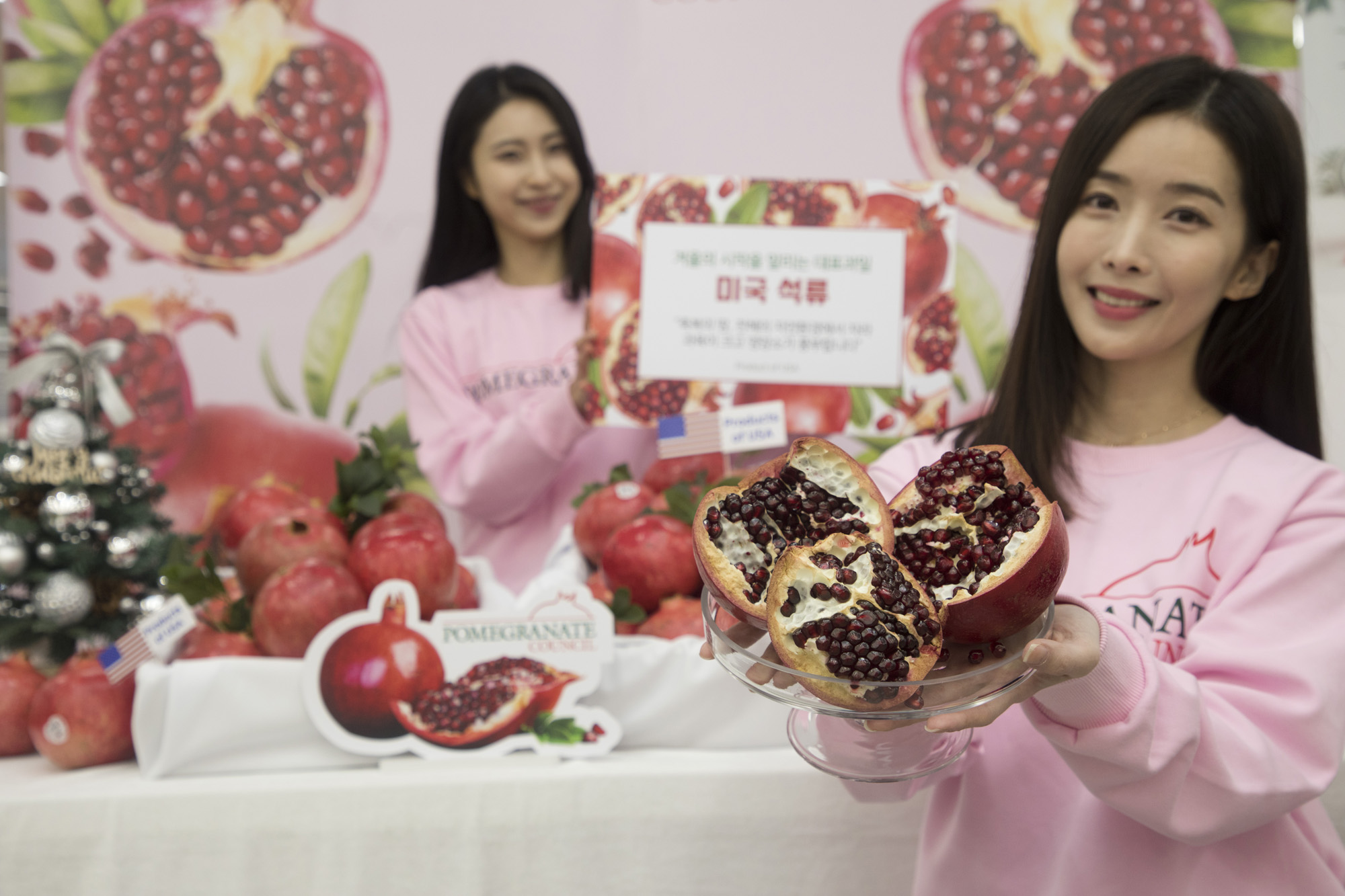 경제;세태;과일;석류;미국석류