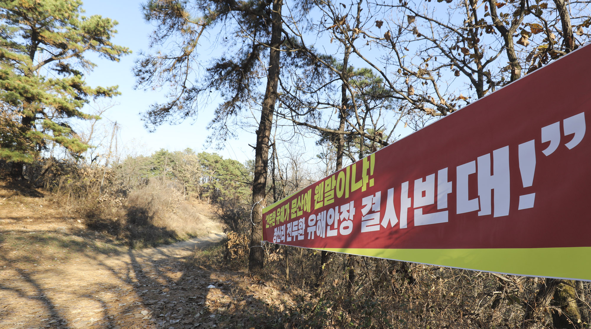 전두환;전두황문덤;전두환유해;전두환장산리;전두환파주