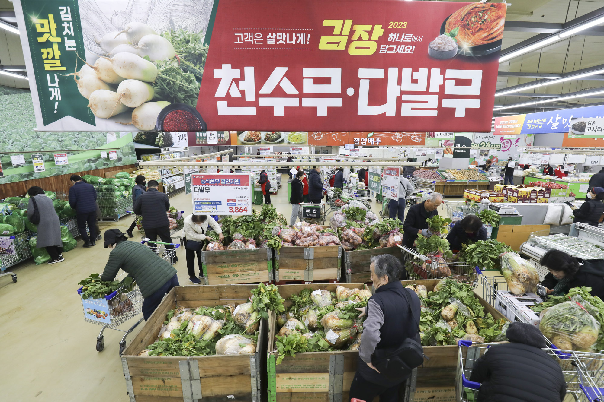 김장배추;마트배추;배추가격;김치가격;김장김치;하나로마트