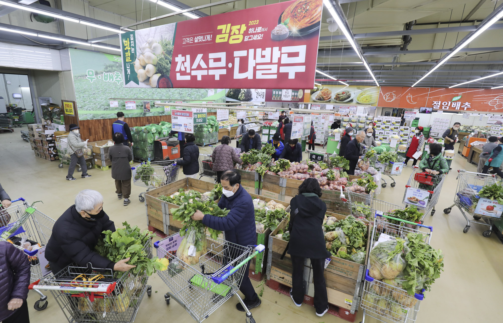 김장배추;마트배추;배추가격;김치가격;김장김치;하나로마트