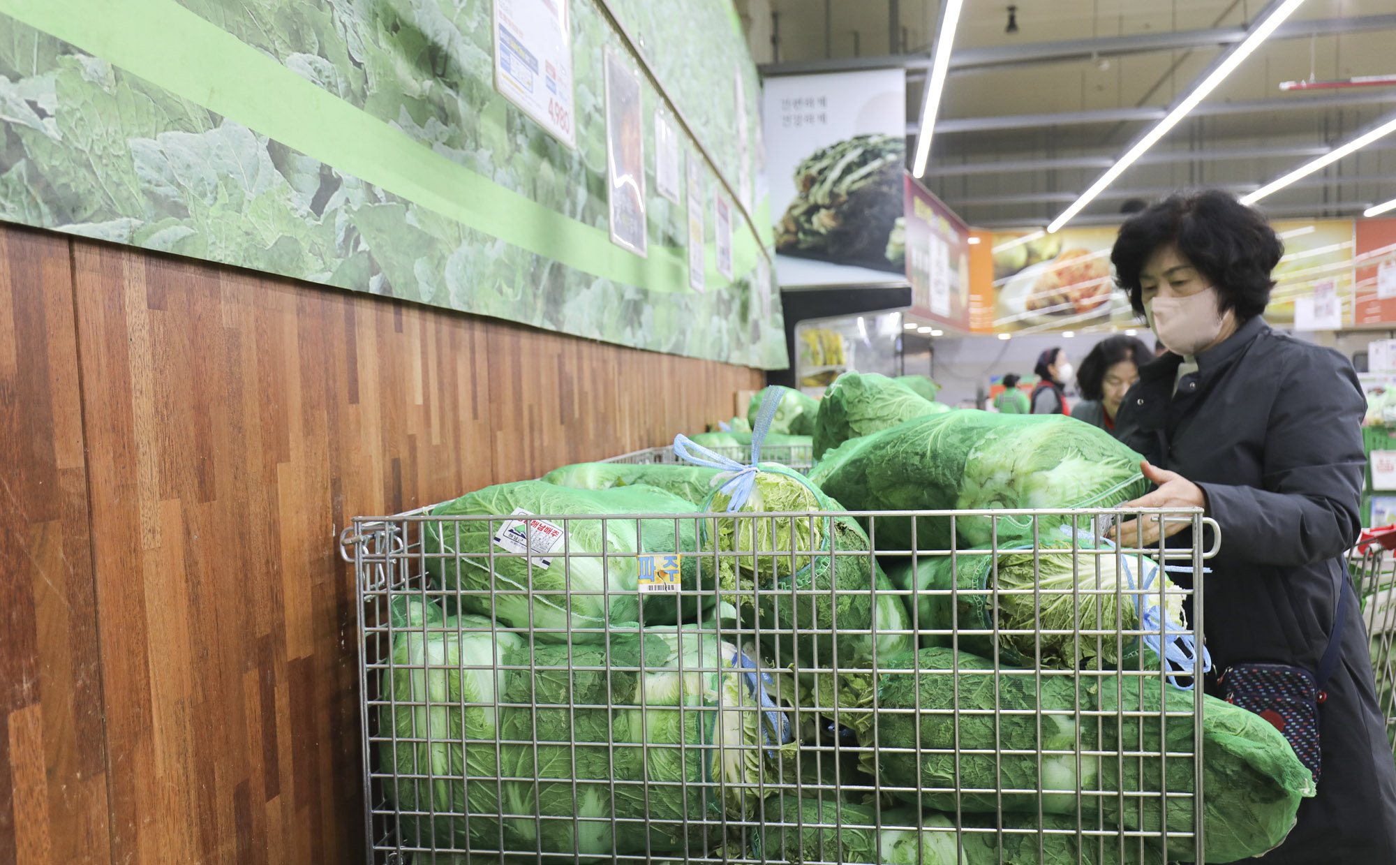 김장배추;마트배추;배추가격;김치가격;김장김치;하나로마트